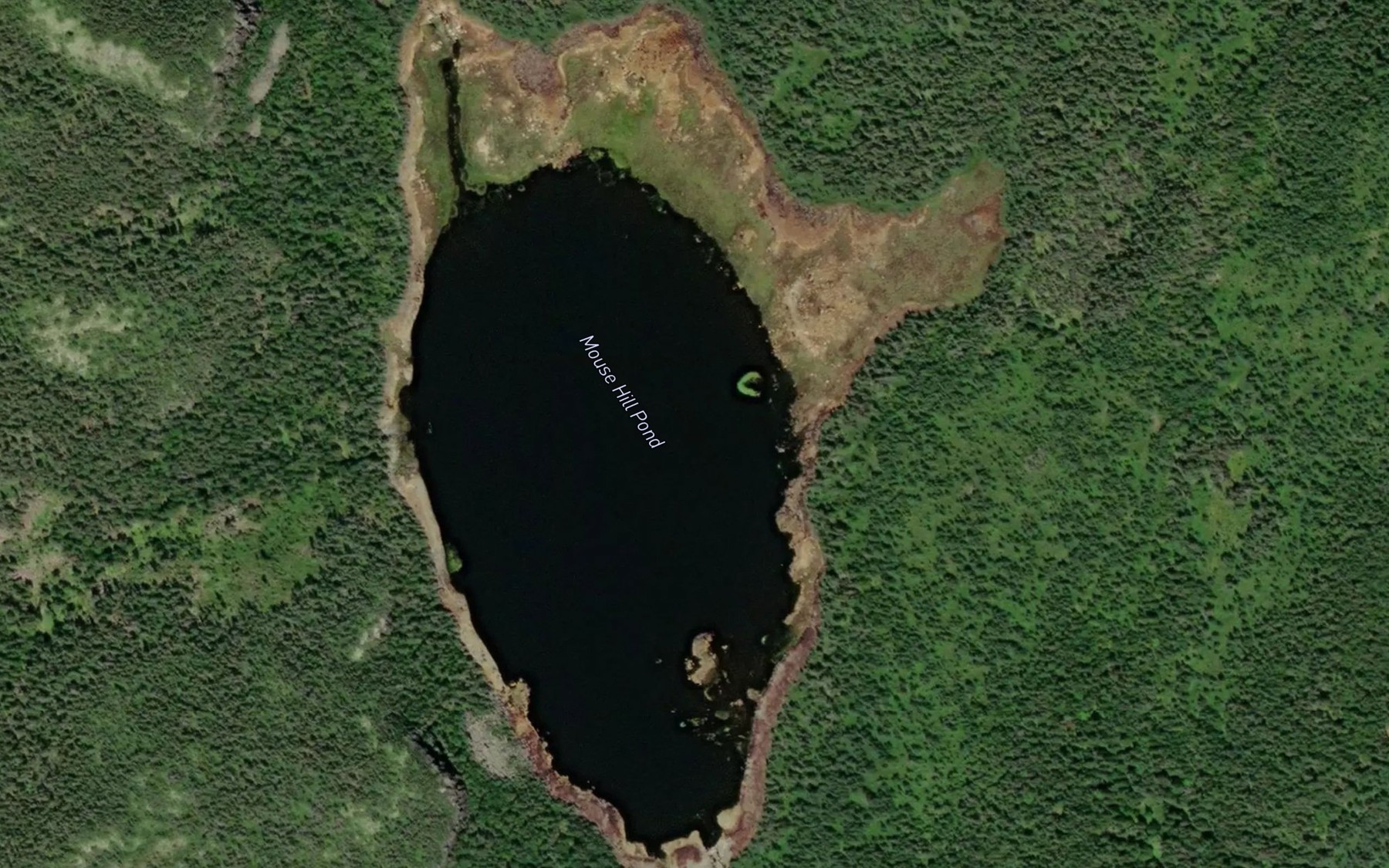 Satellite map of the Mouse Hill Pond