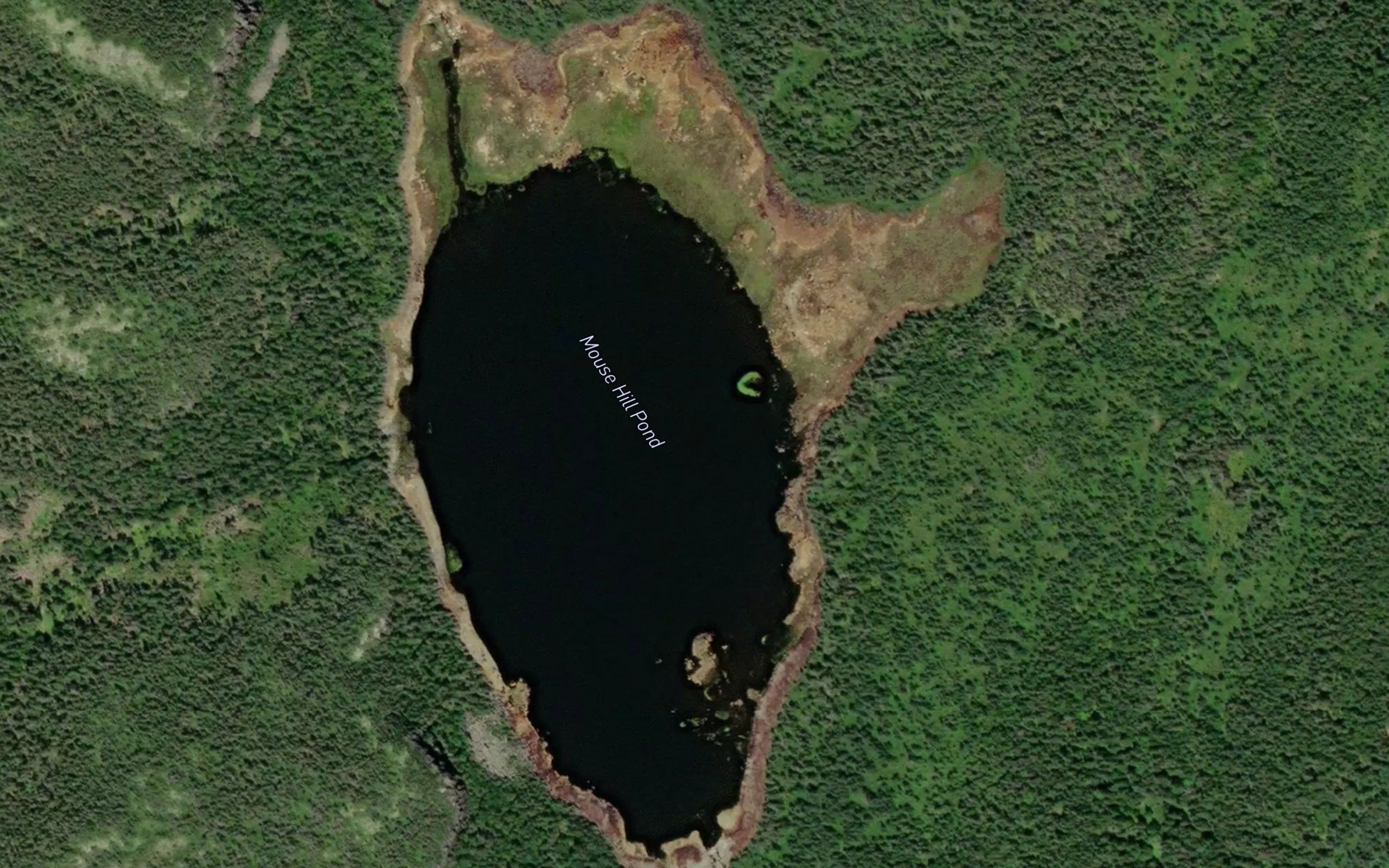 Mouse Hill Pond