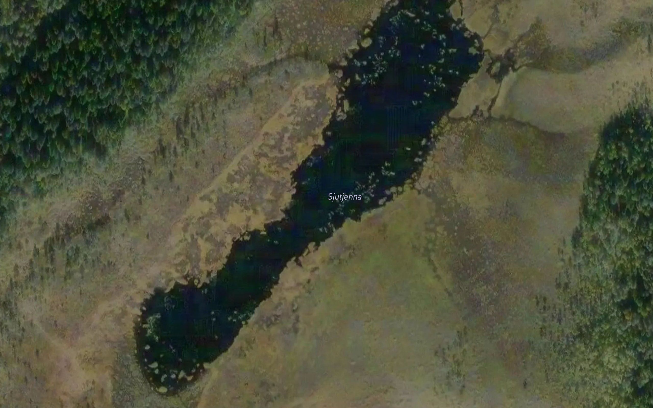 Langtjernet