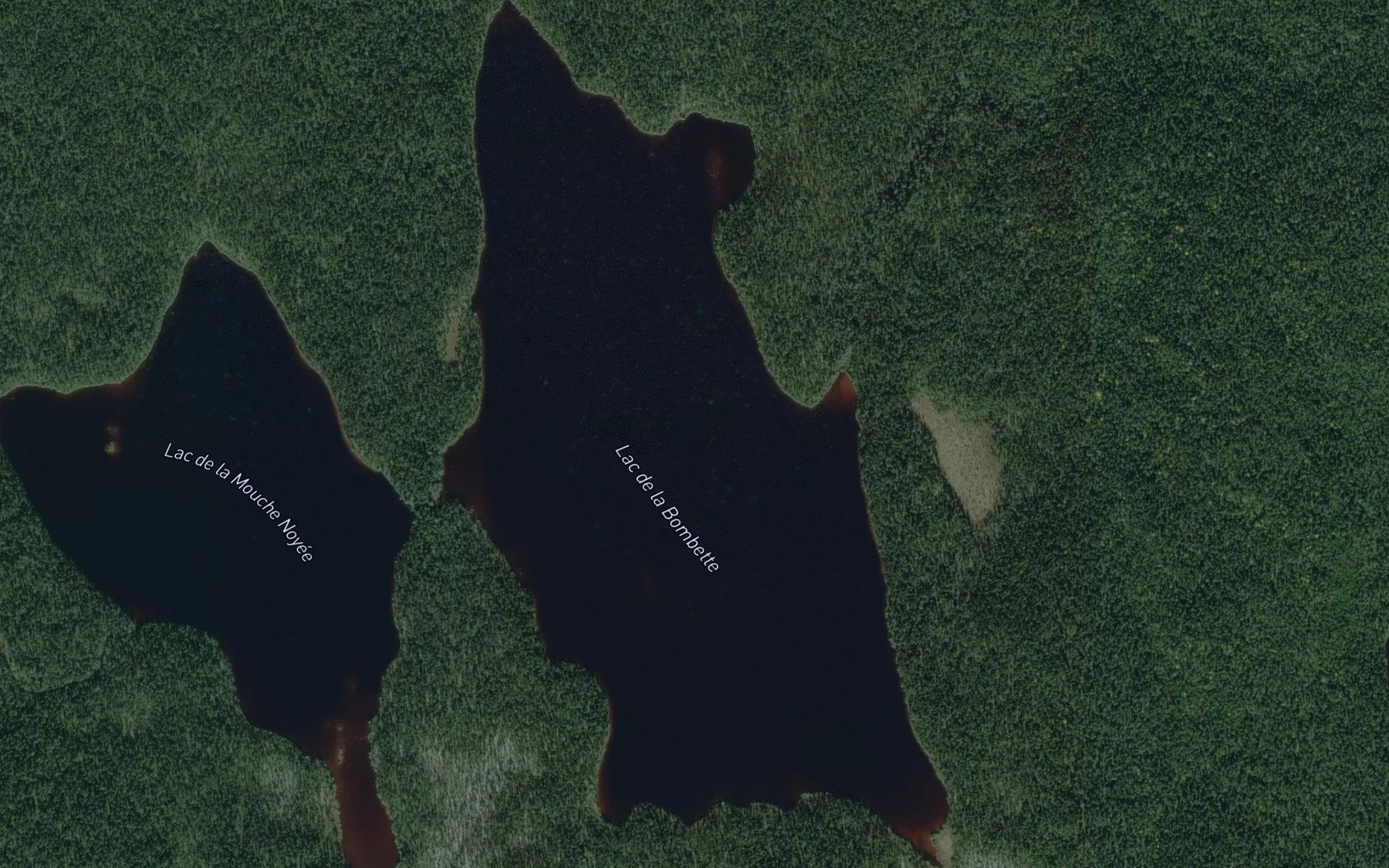 Satellite map of the Lac de la Bombette