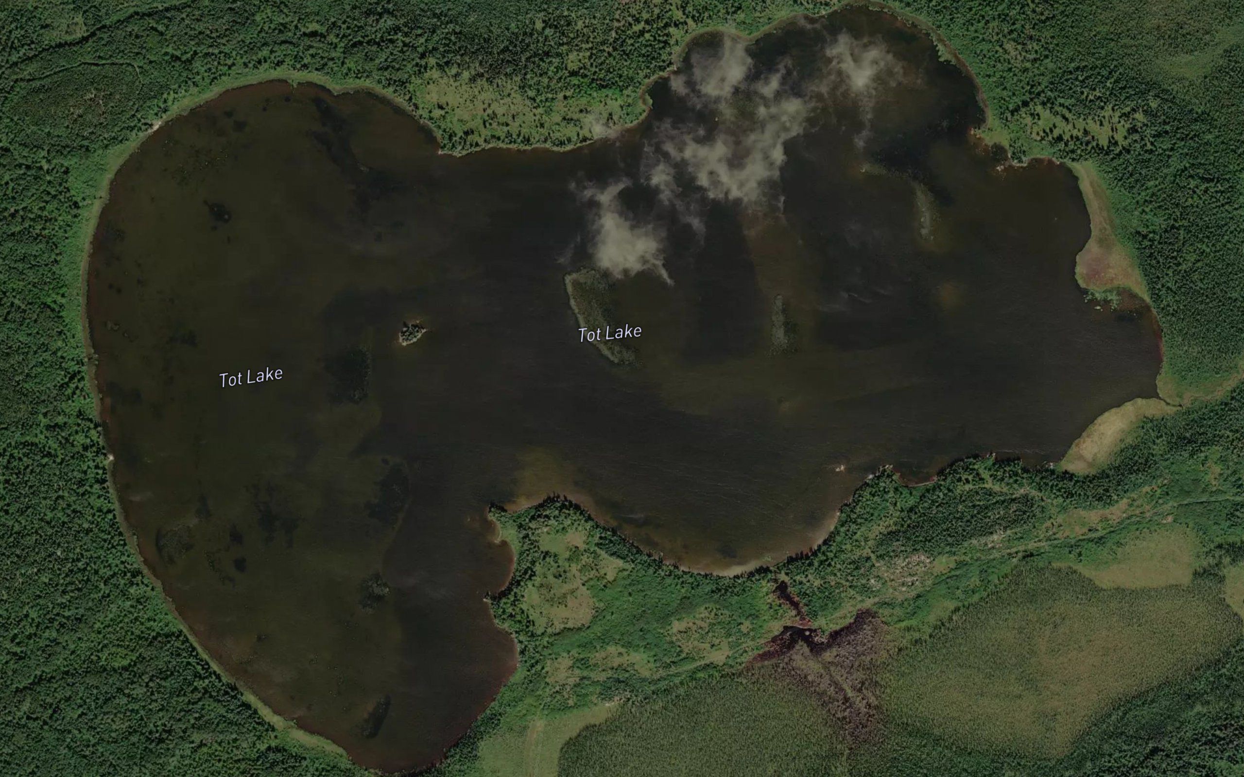 Tot Lake
