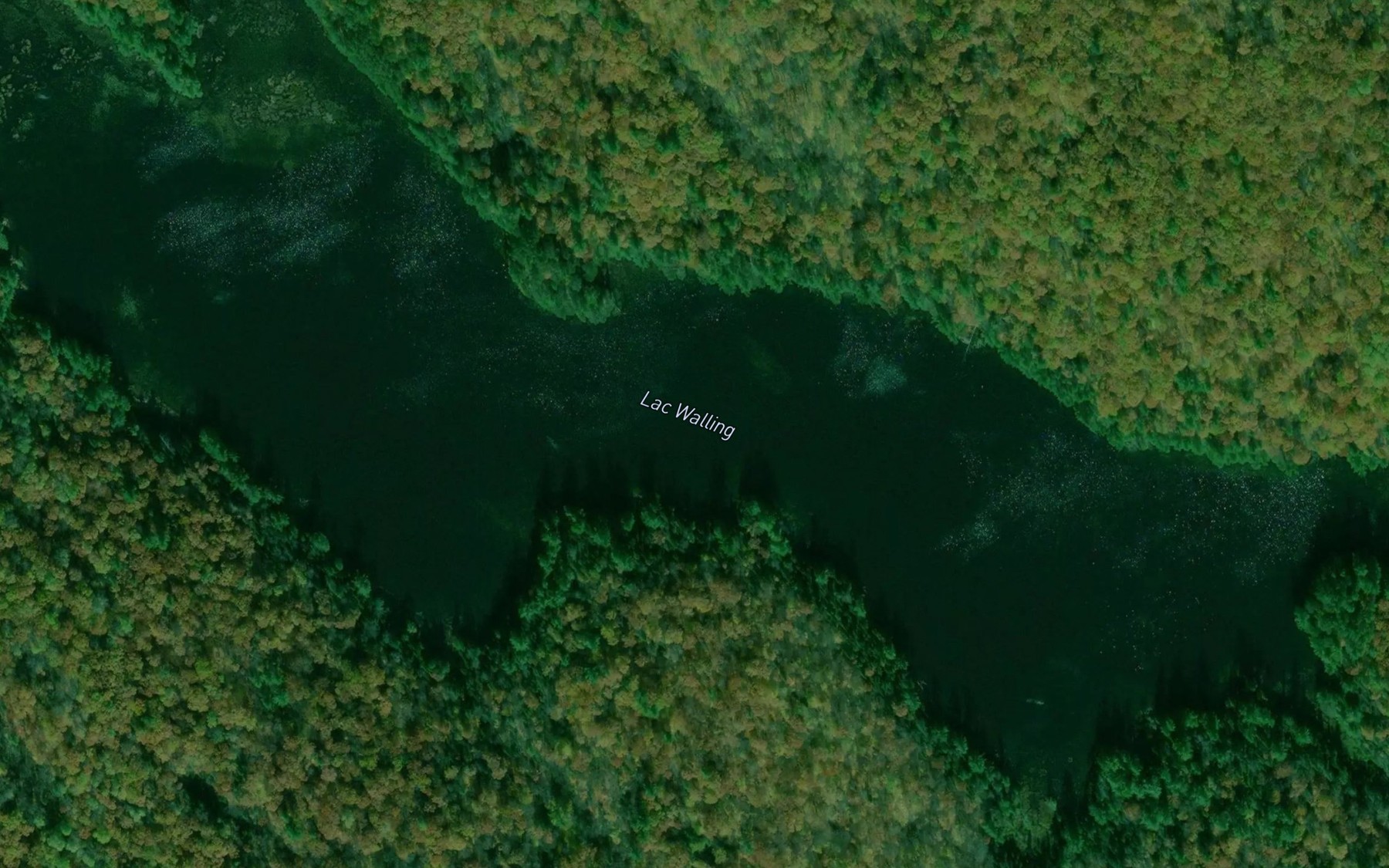 Satellite map of the Lac Walling