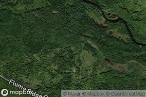 Lower Trout Brook