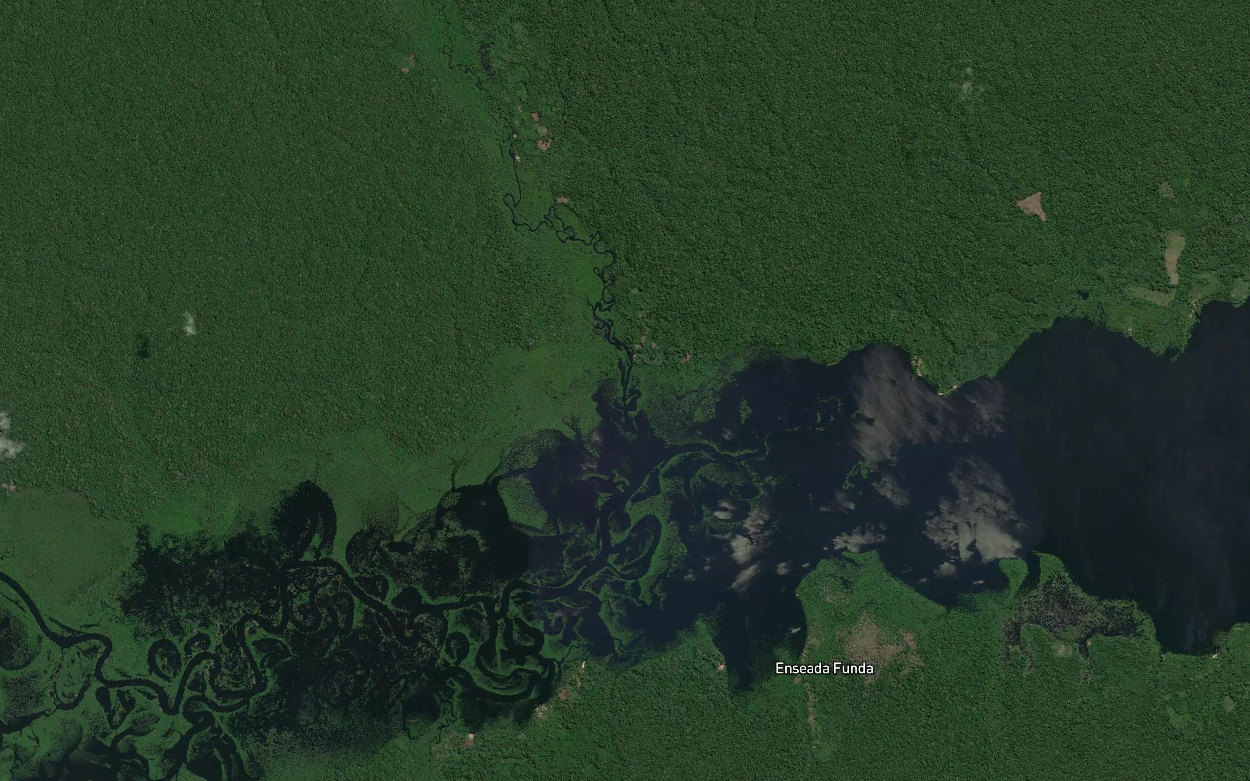 Igarape Caapiranga