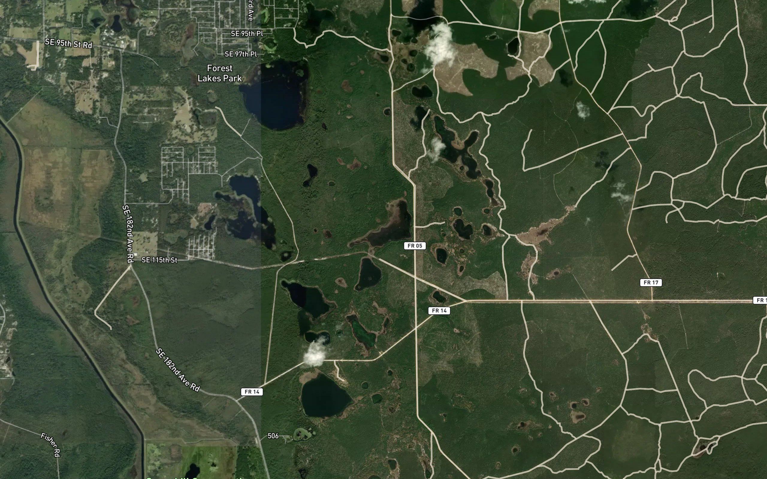 Grassy Prairie
