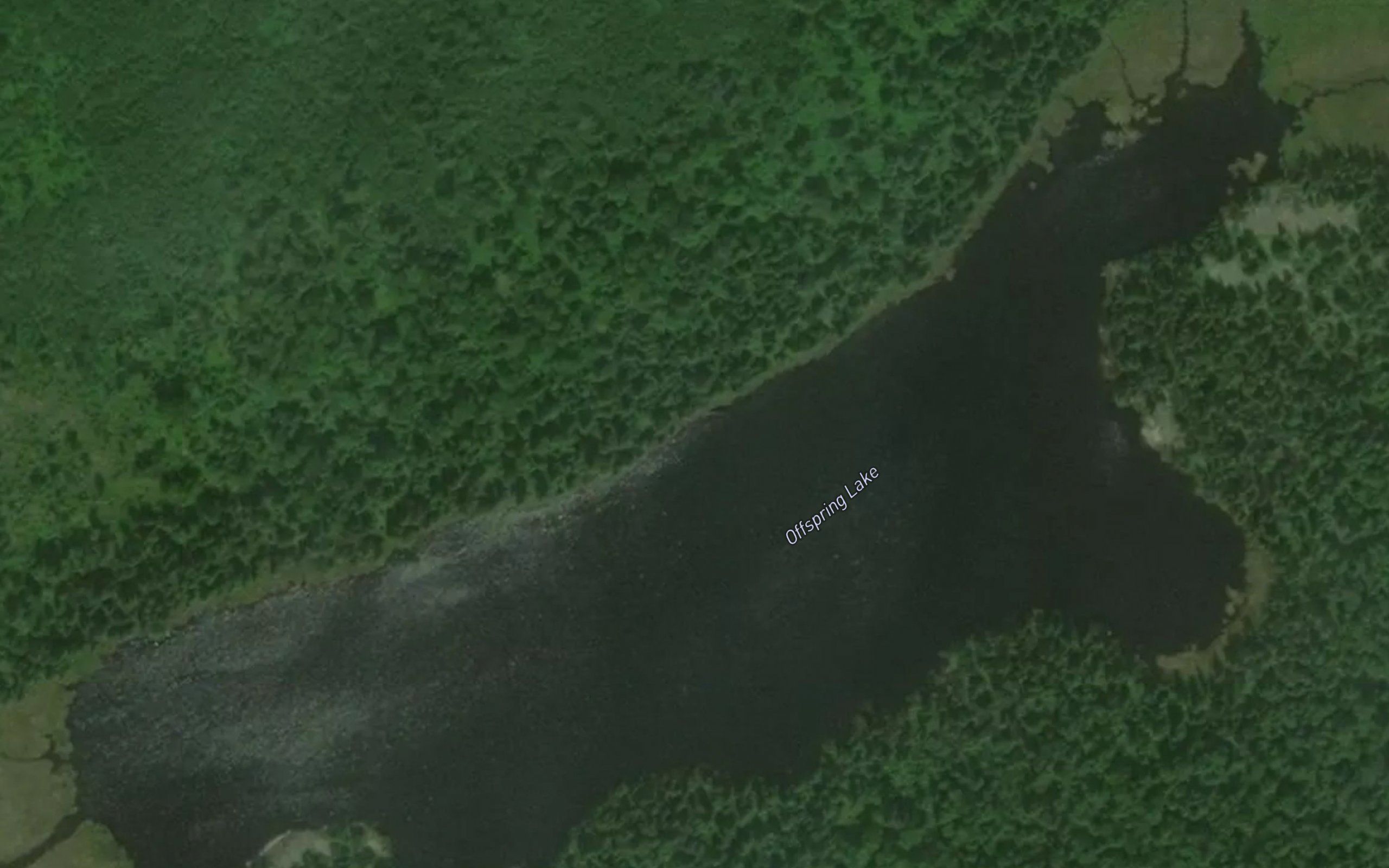 Offspring Lake