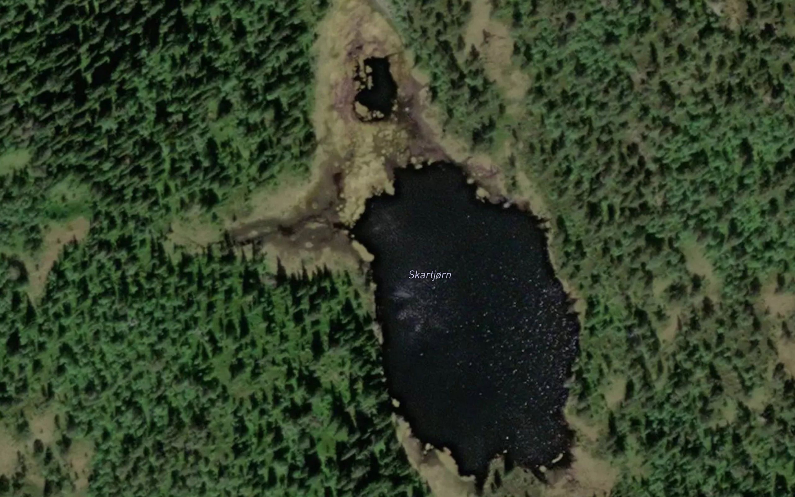 Skartjorn