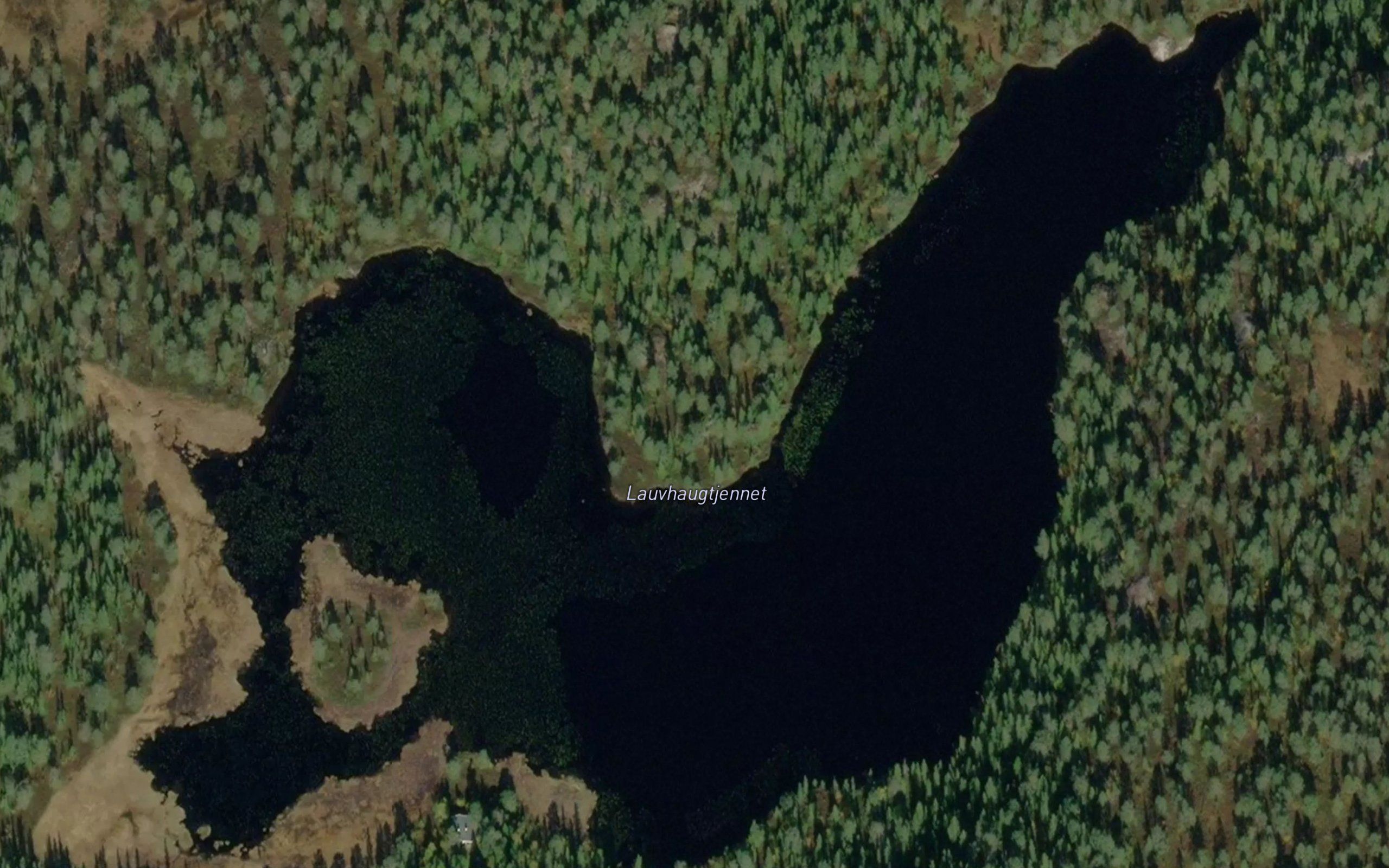 Lauvhaugtjernet