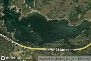 Lyngedalspollen