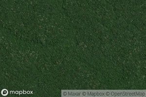 Igarape Macaco Assado