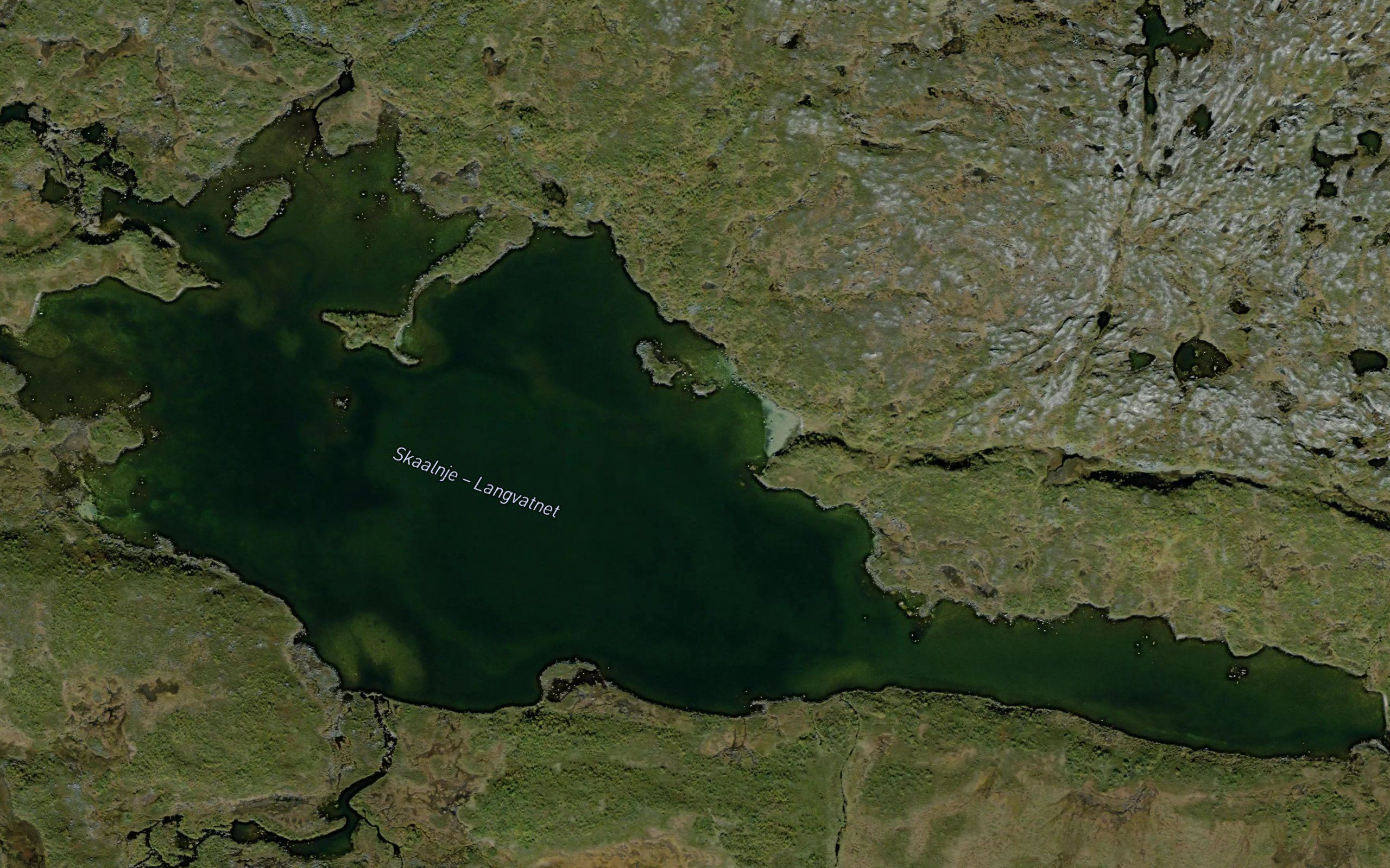 Langvatnet