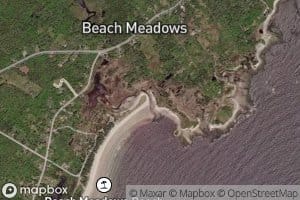 Beach Meadows Brook