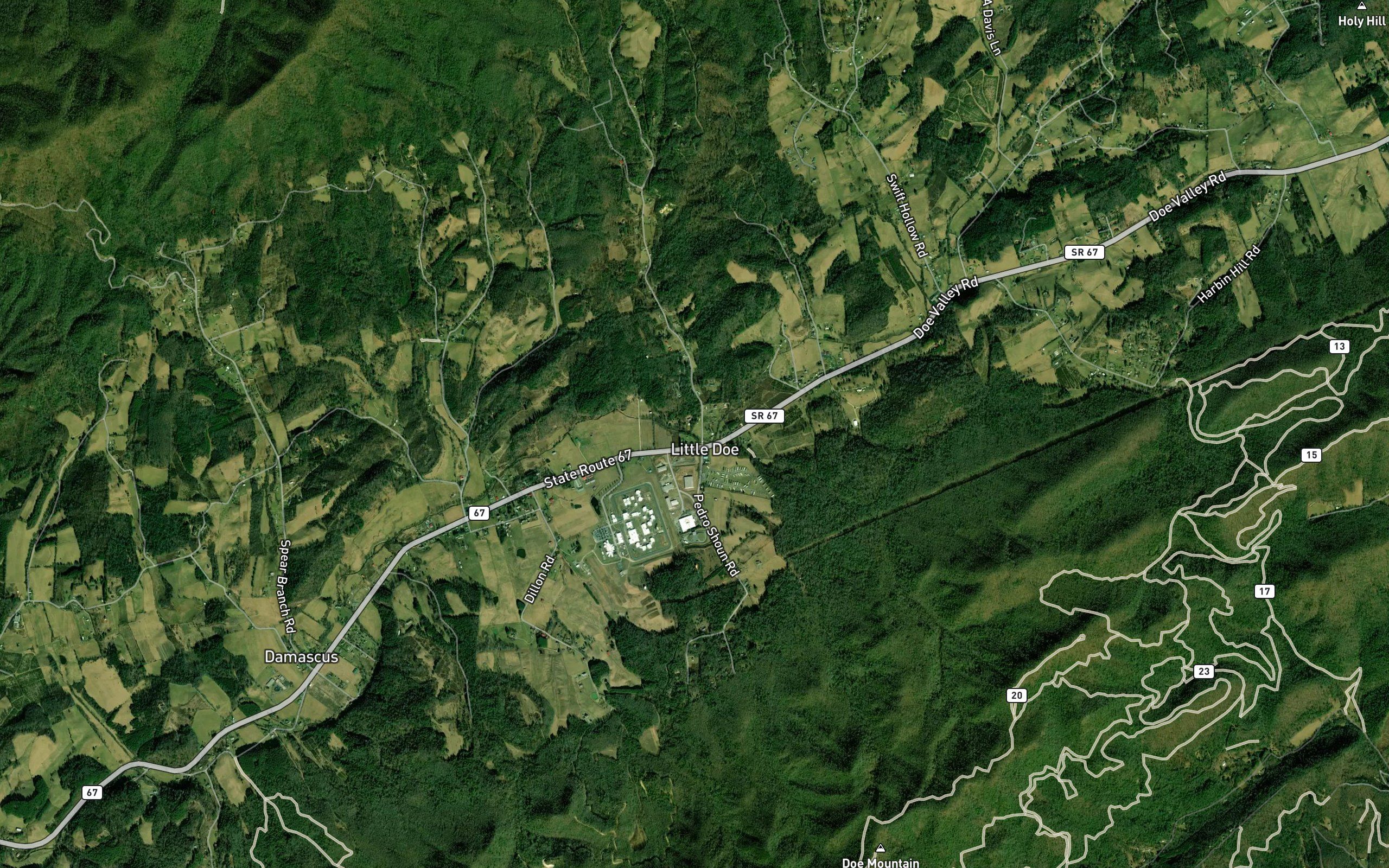Spruce Branch
