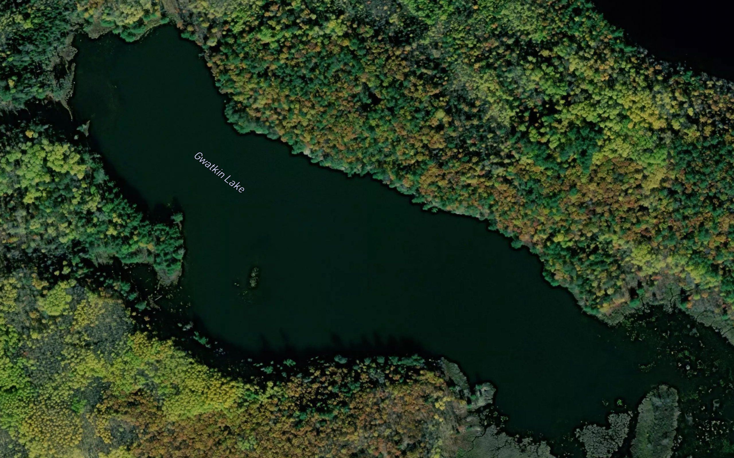 Gwatkin Lake