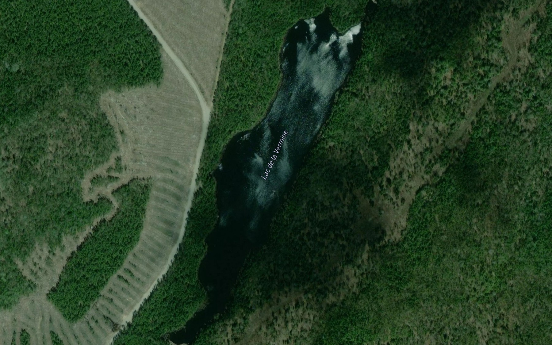 Satellite map of the Lac de la Vermine