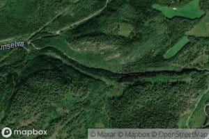 Tunselva