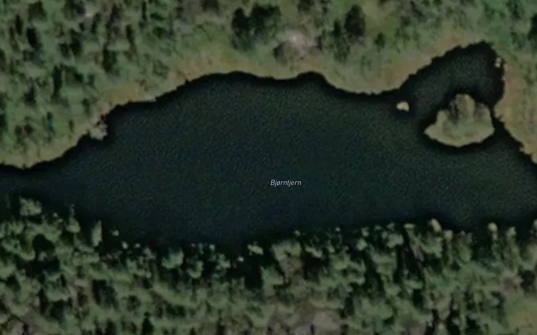 Satellite map of the Bjorntjern