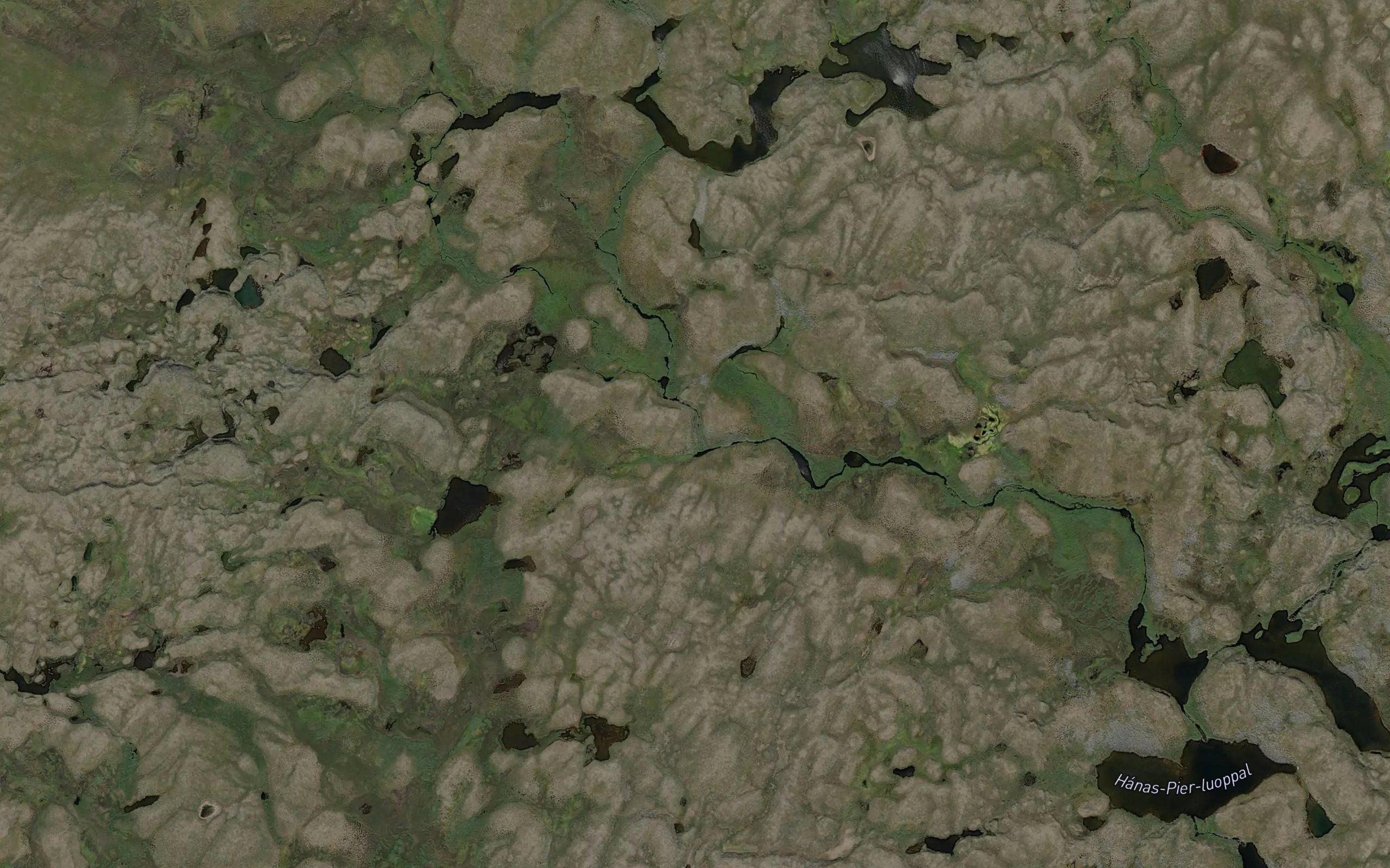 Poastajakka