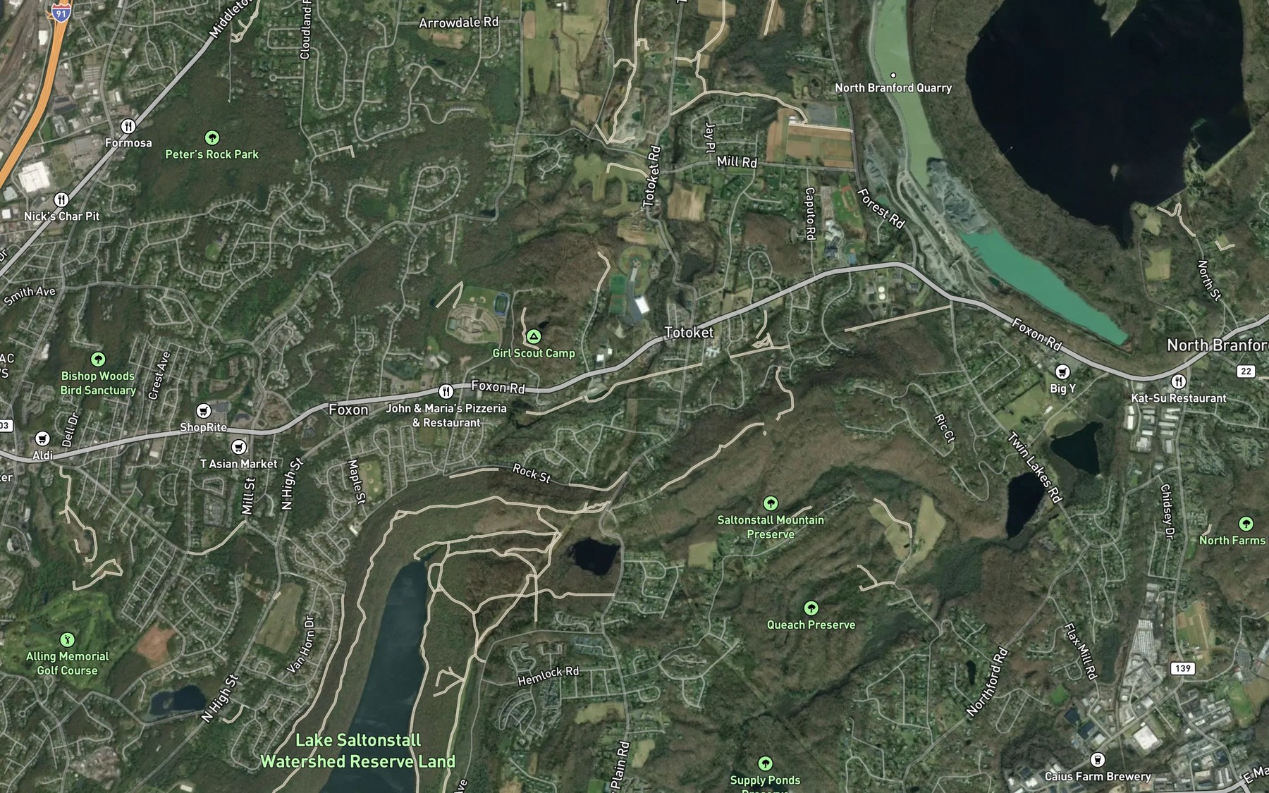 Satellite map of the Burrs Brook