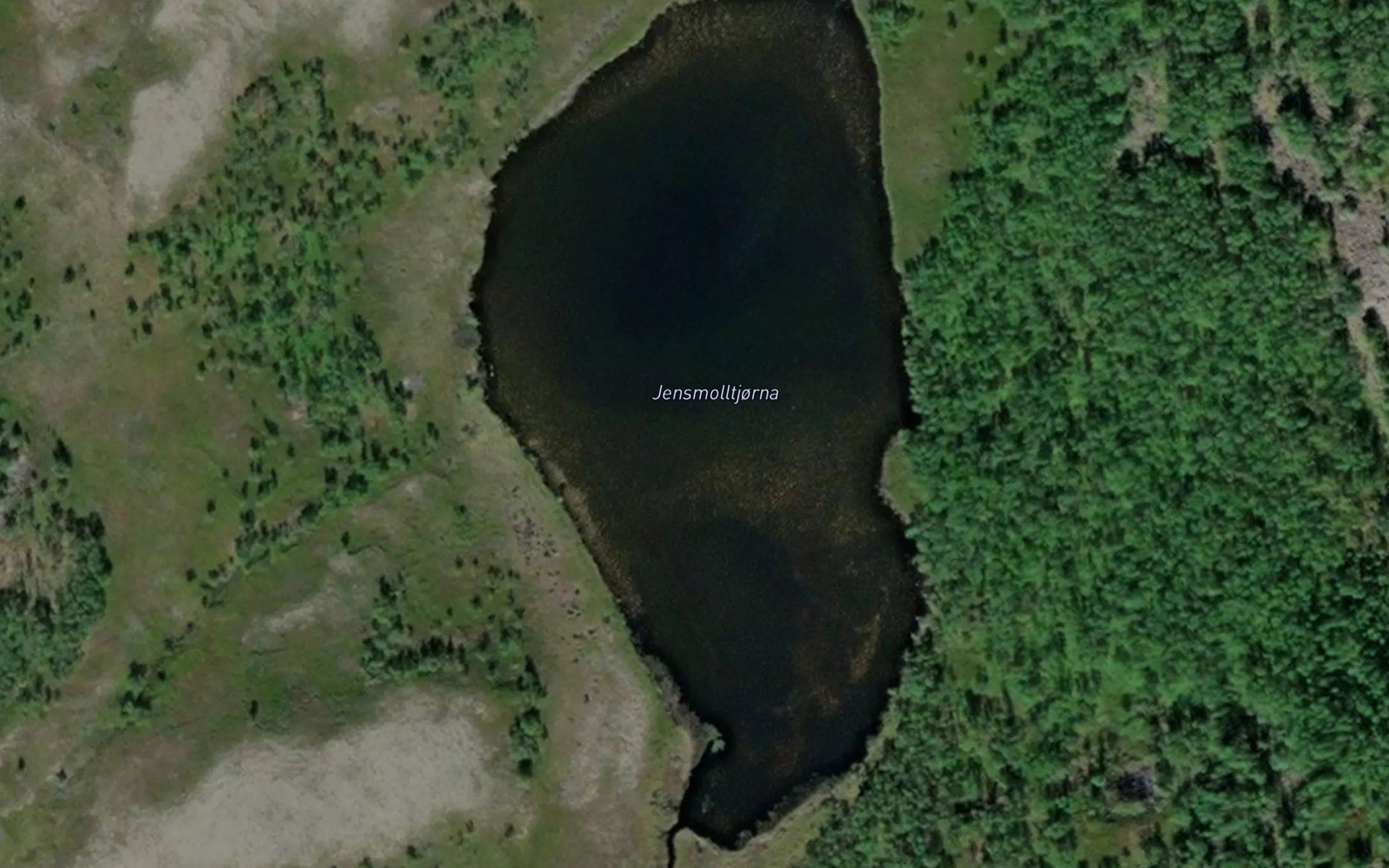 Jensmolltjorna