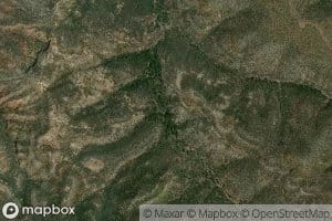 Steer Pasture Spring