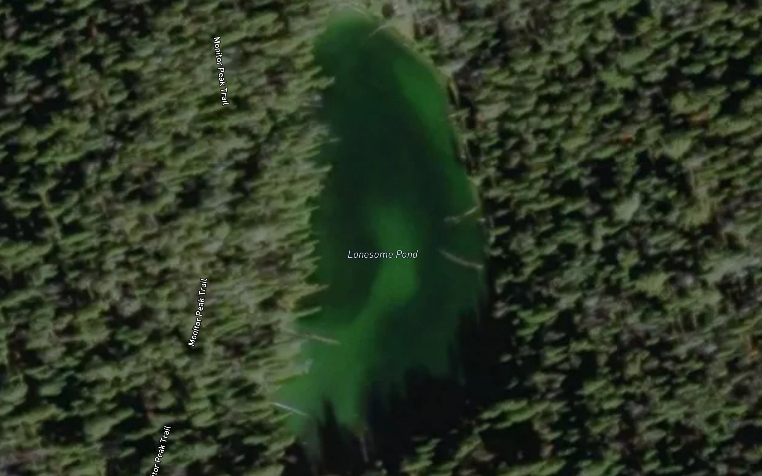 Lonesome Pond