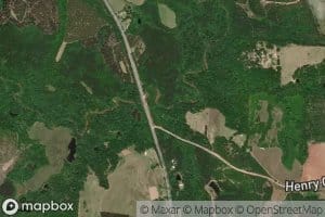 Neal Ayers Gin Branch