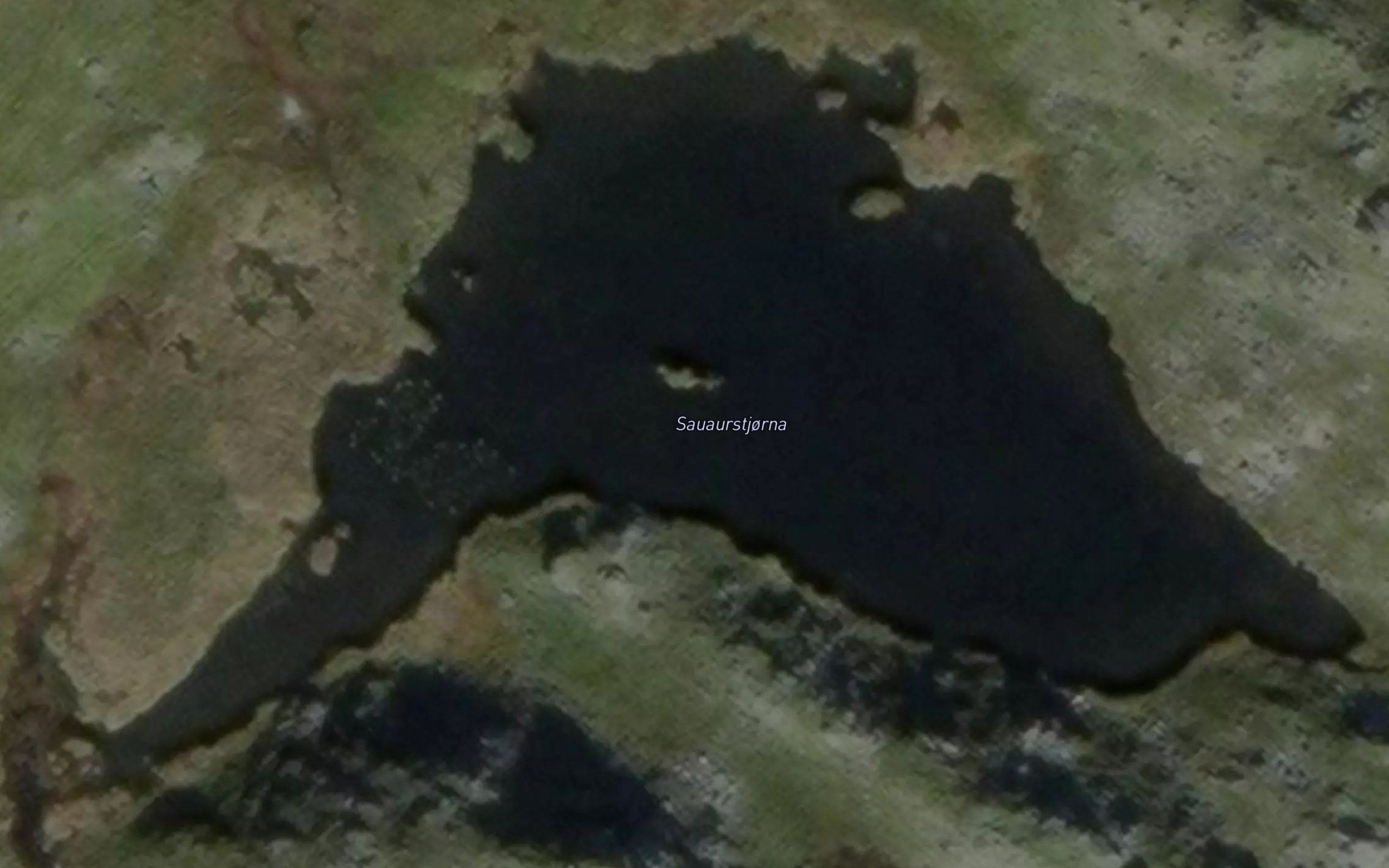 Sauaurstjorna