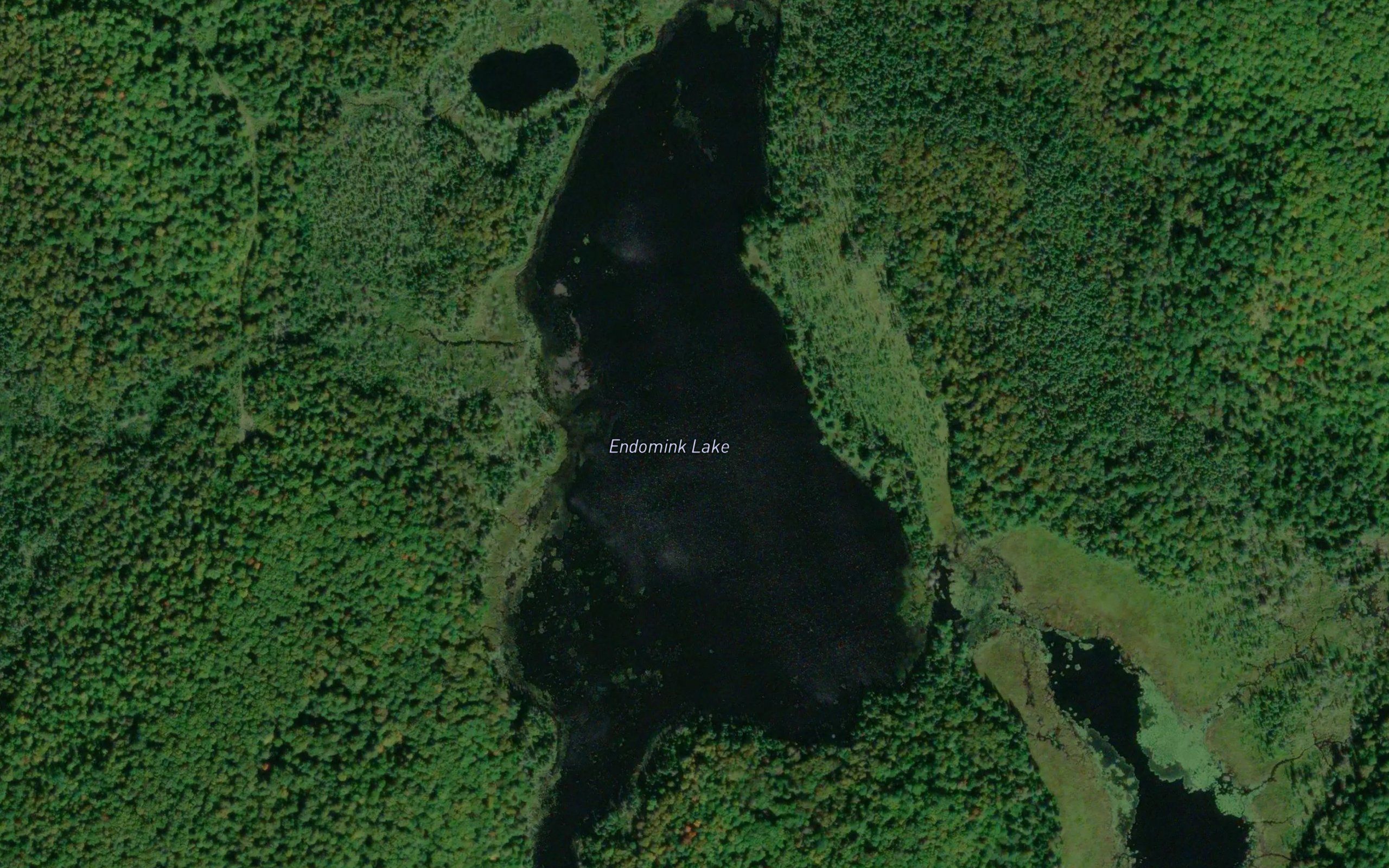 Endomink Lake