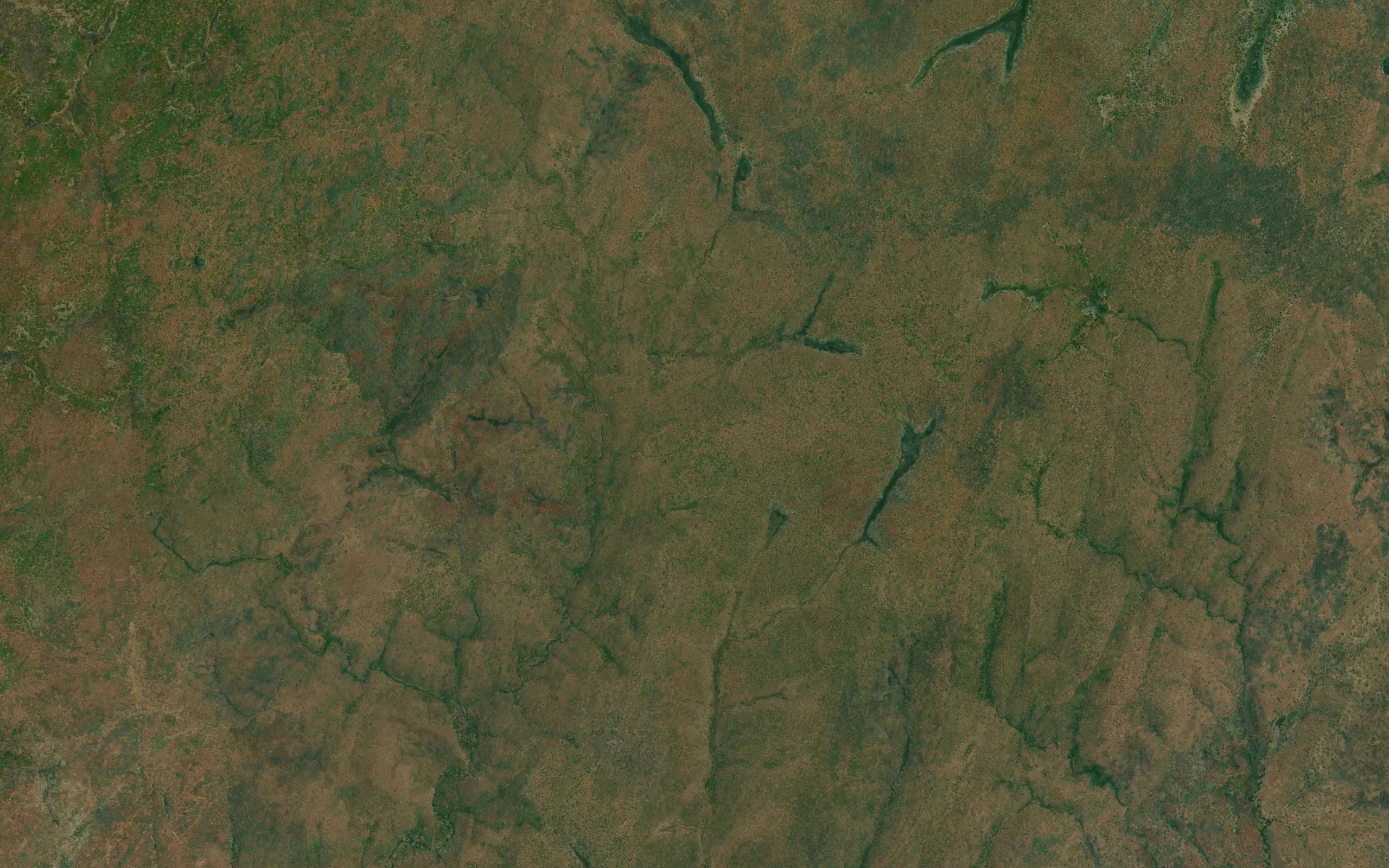 Nokolwe
