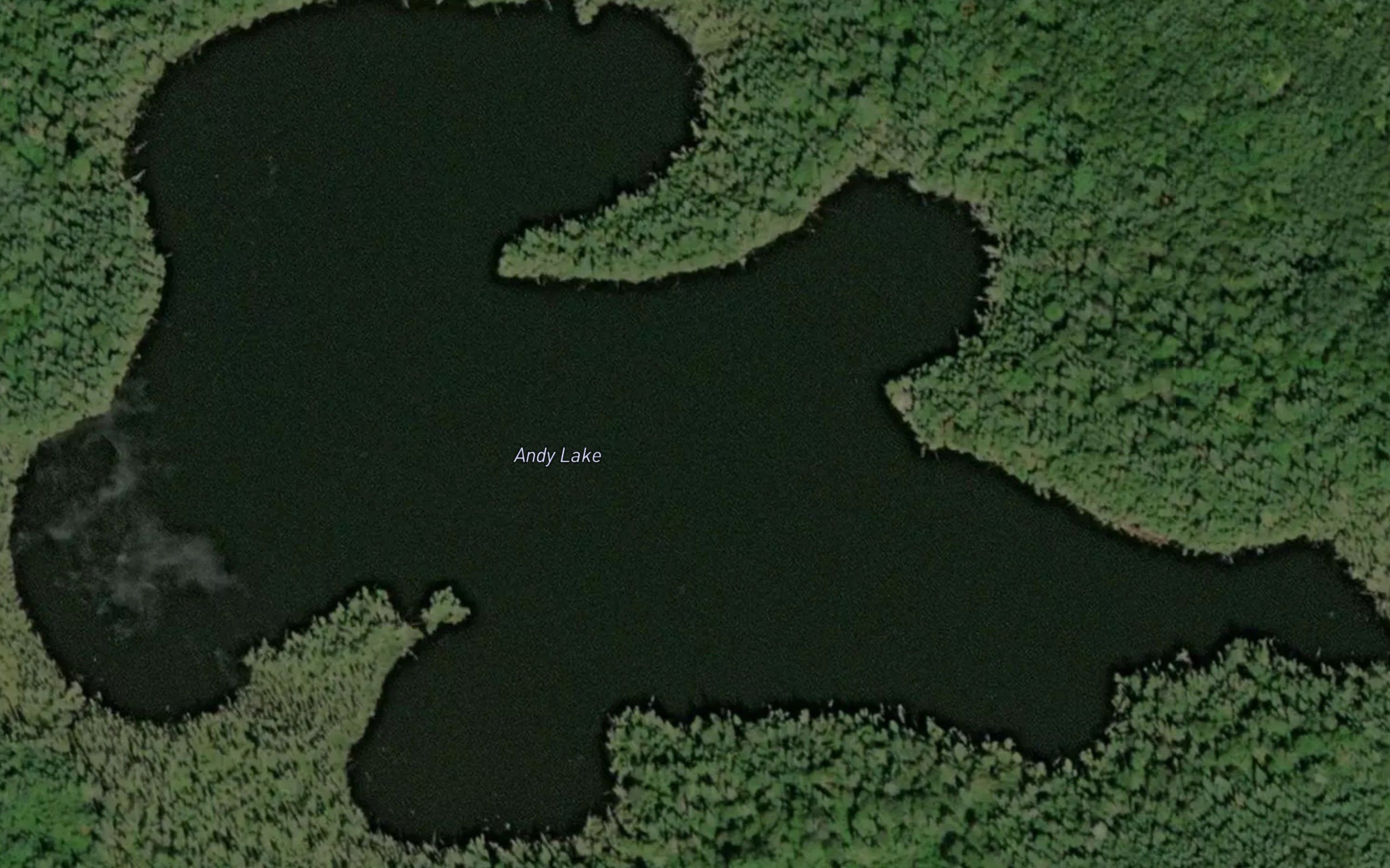 Andy Lake