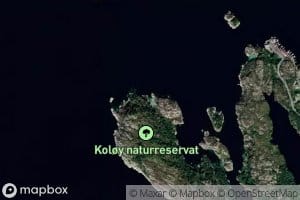 Oksavika