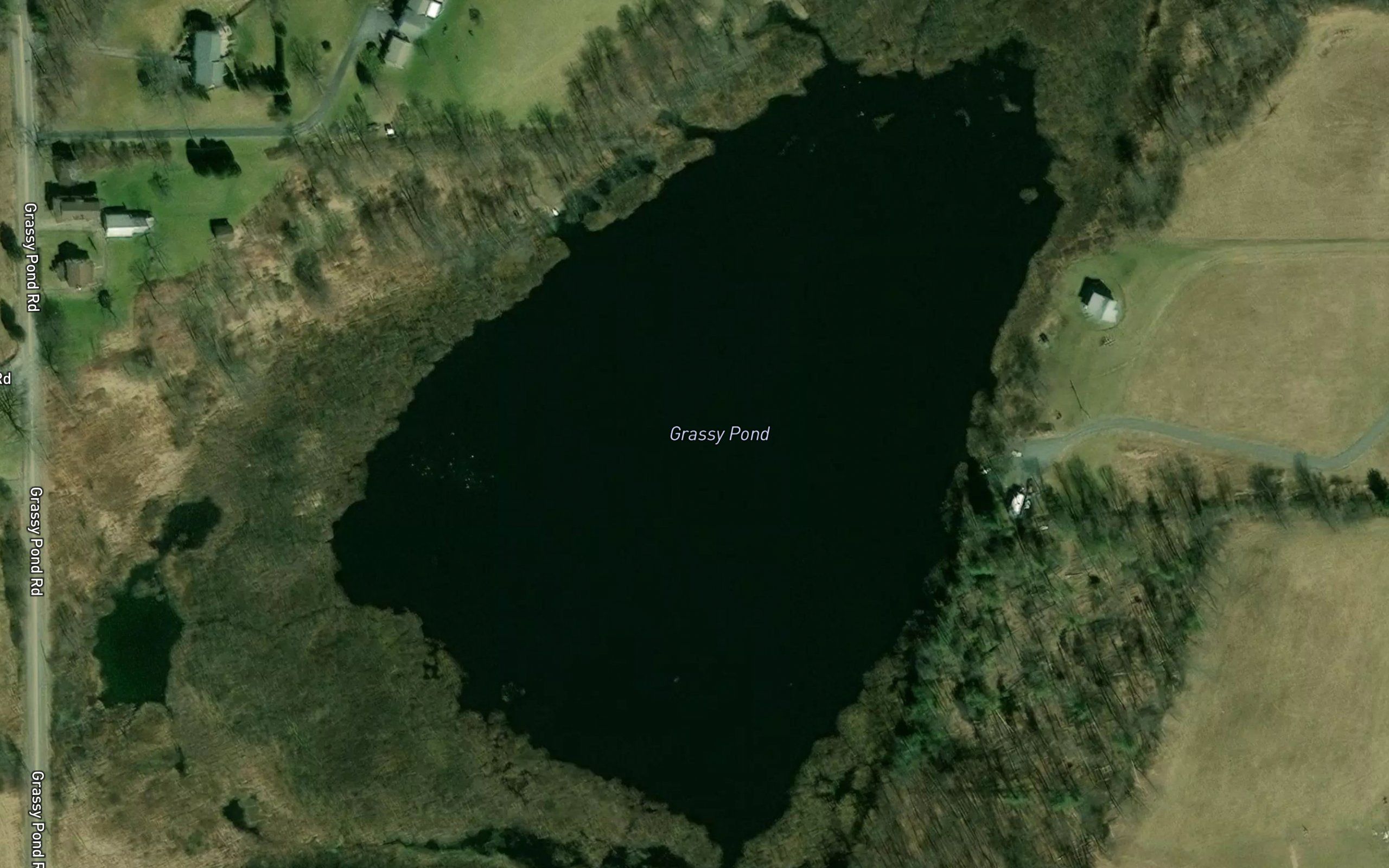 Grassy Pond