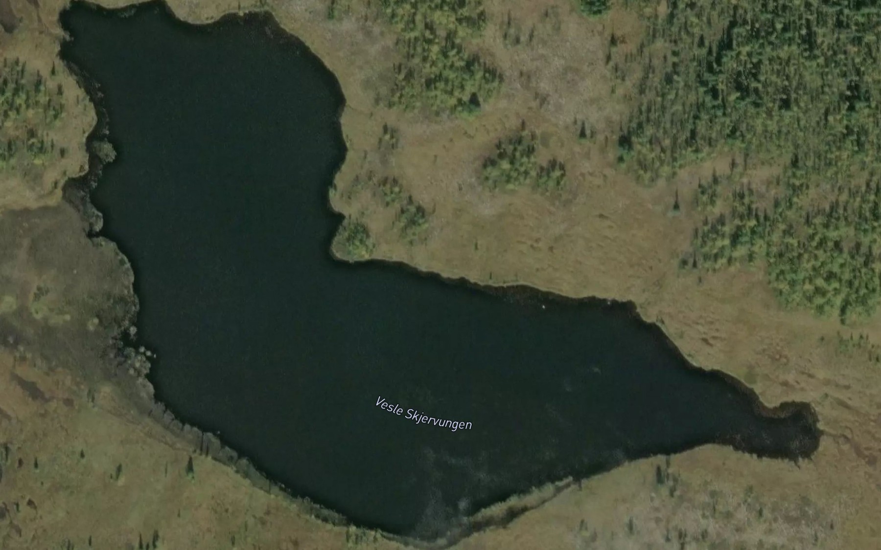 Satellite map of the Vesle Skjervungen