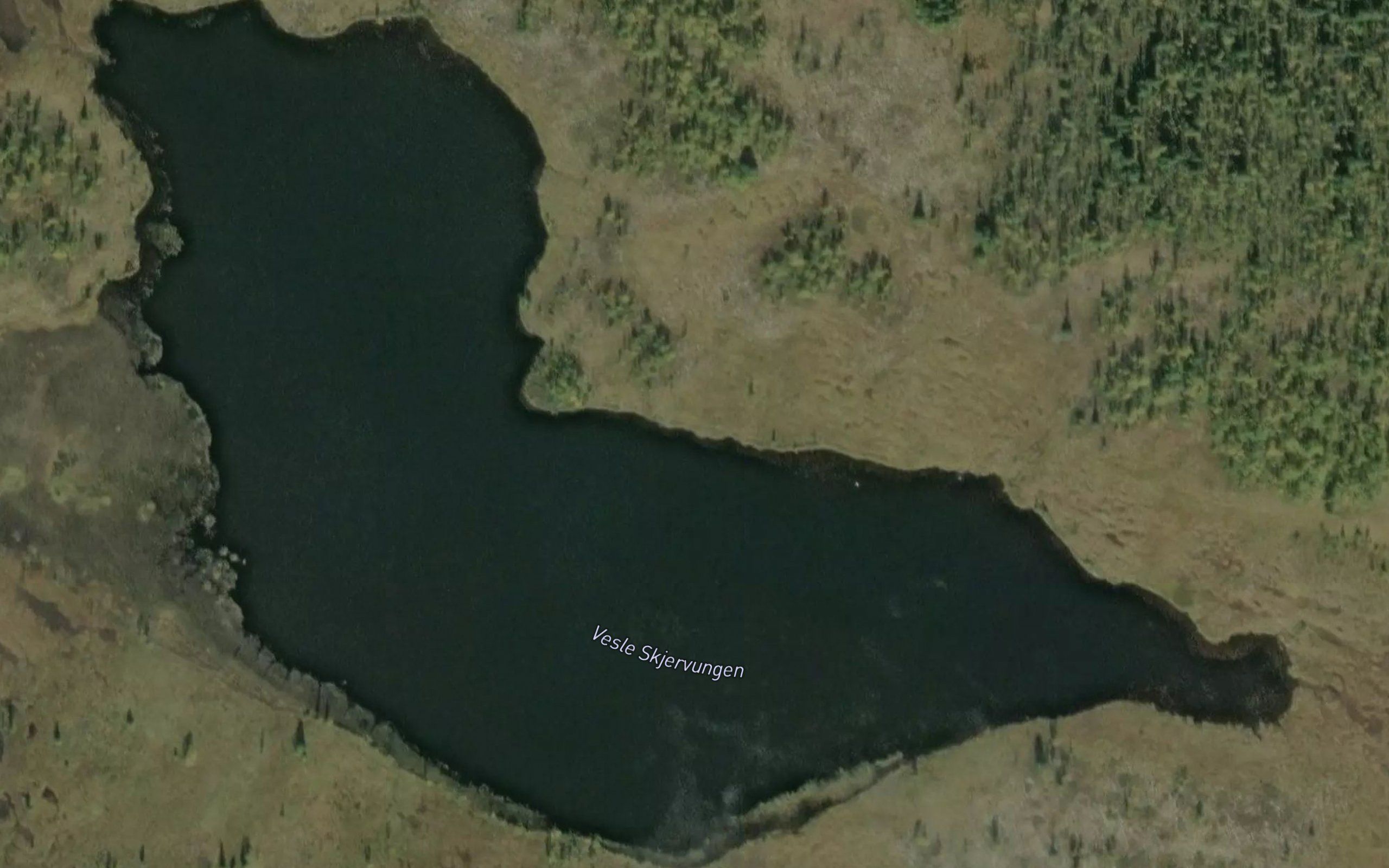 Vesle Skjervungen