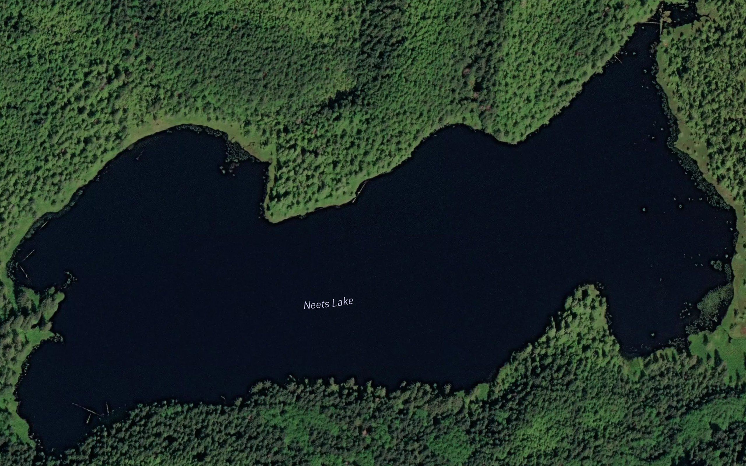 Neets Lake
