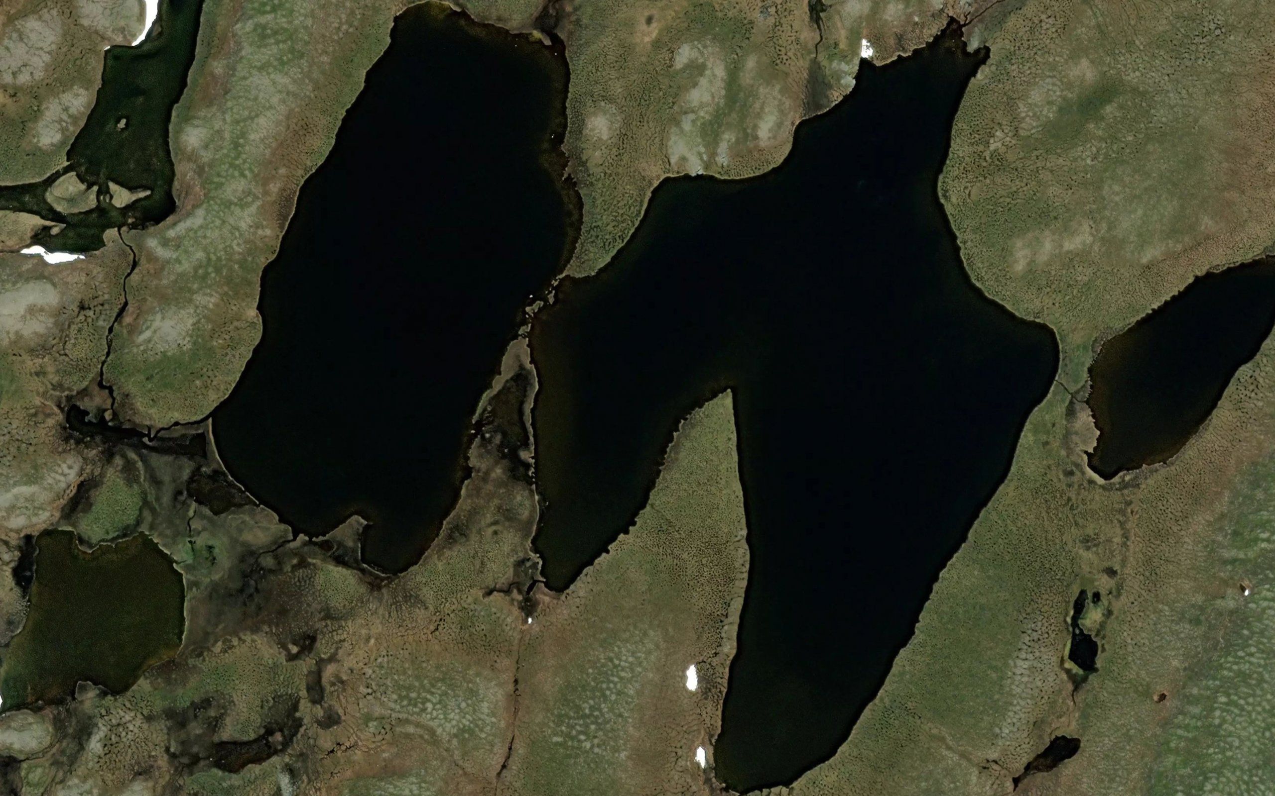 Gaerdusjavrit