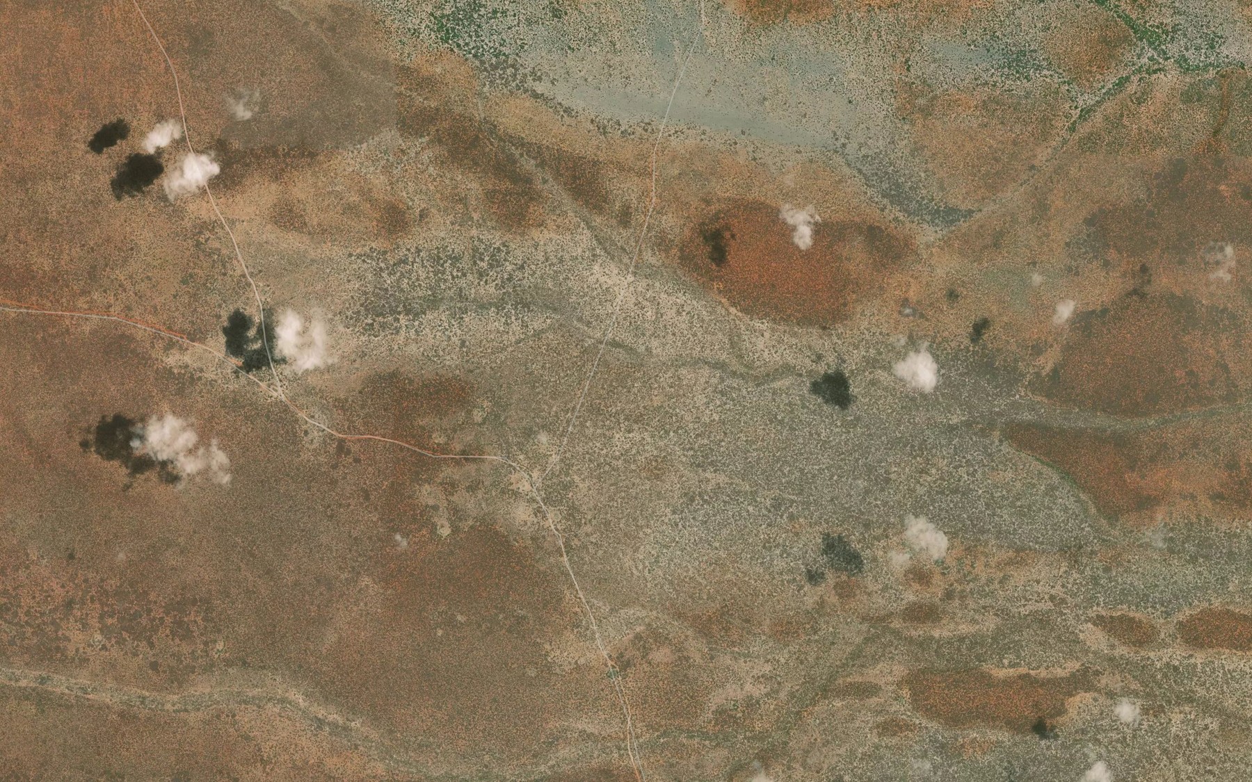 Satellite map of the Giraffe Pool