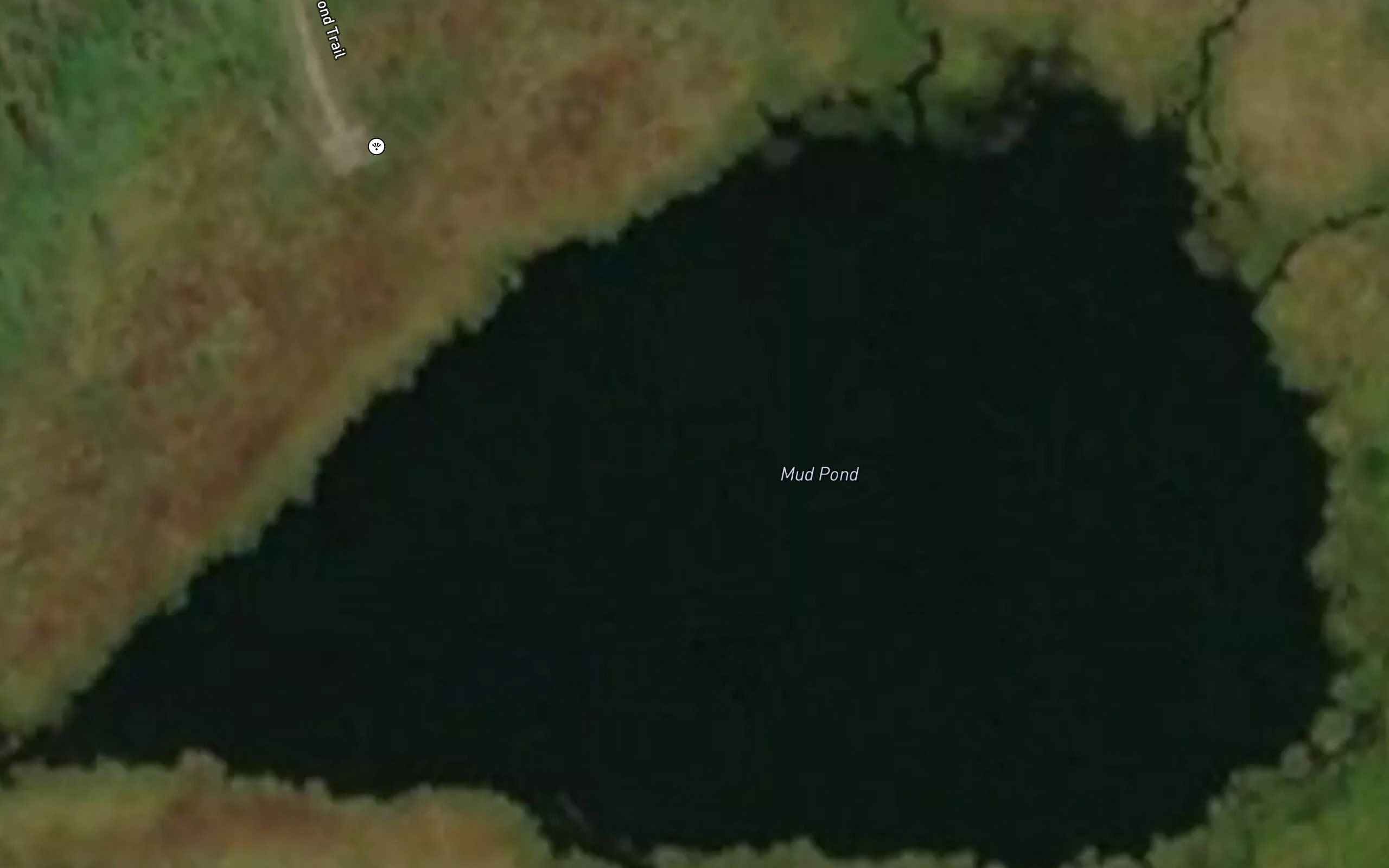 Mud Pond