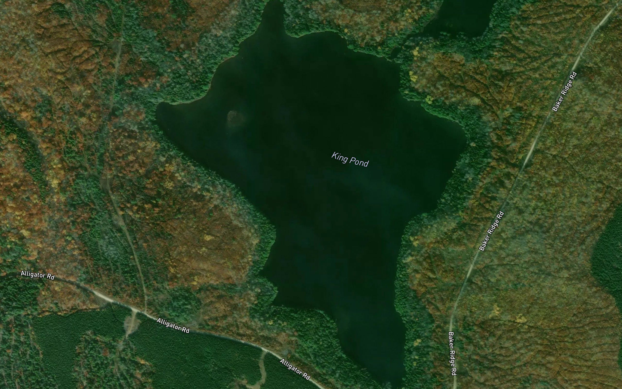 King Pond