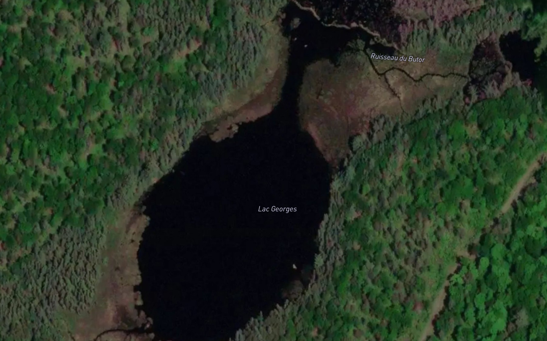 Satellite map of the Lac Georges