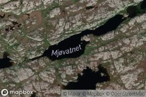 Auster Mjovatnet