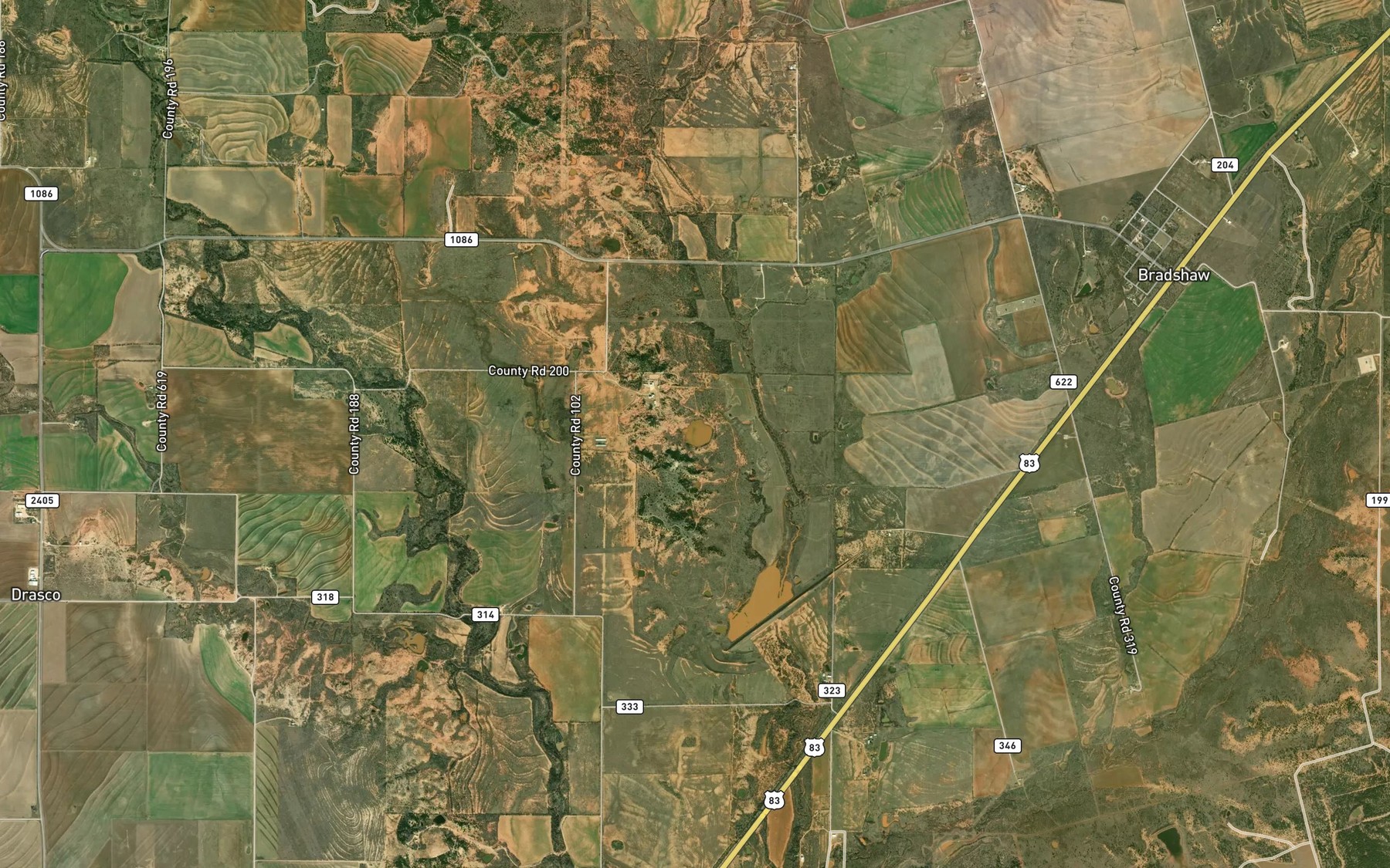 Satellite map of the Downing Lake