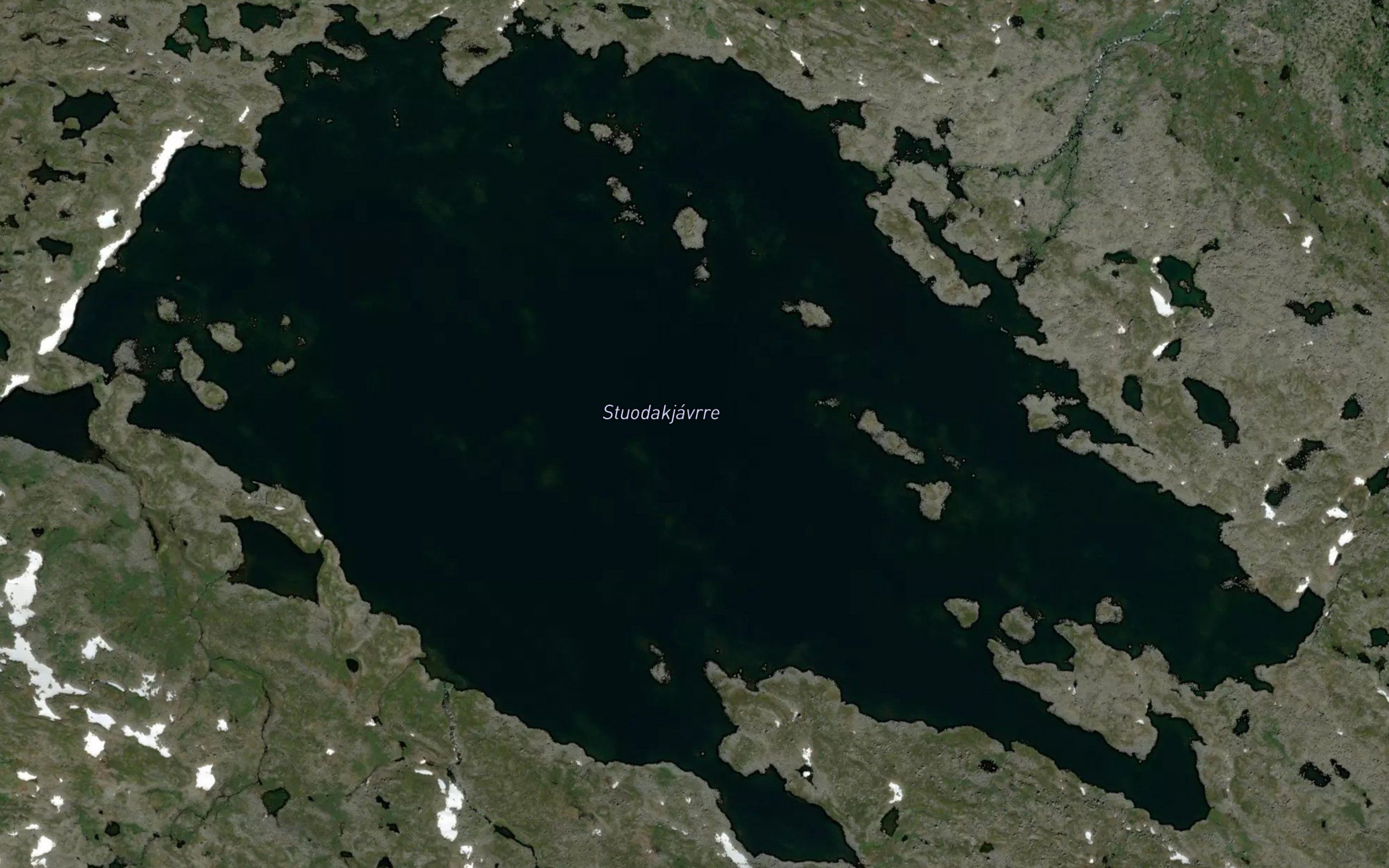 Stuotajaure