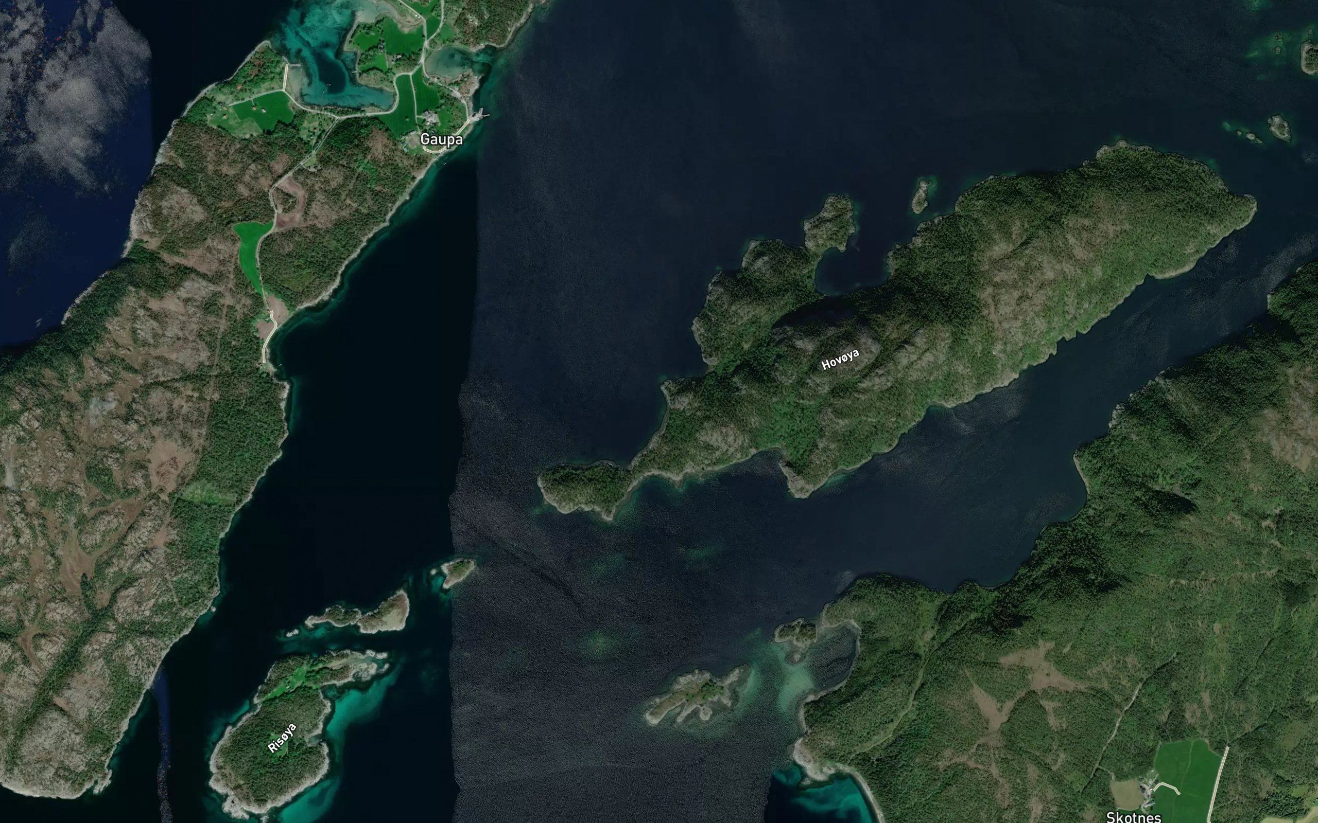 Kalvvika