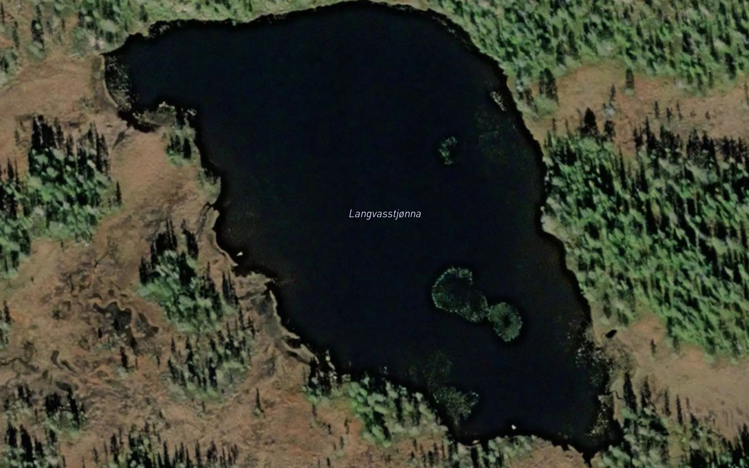 Langvasstjonna