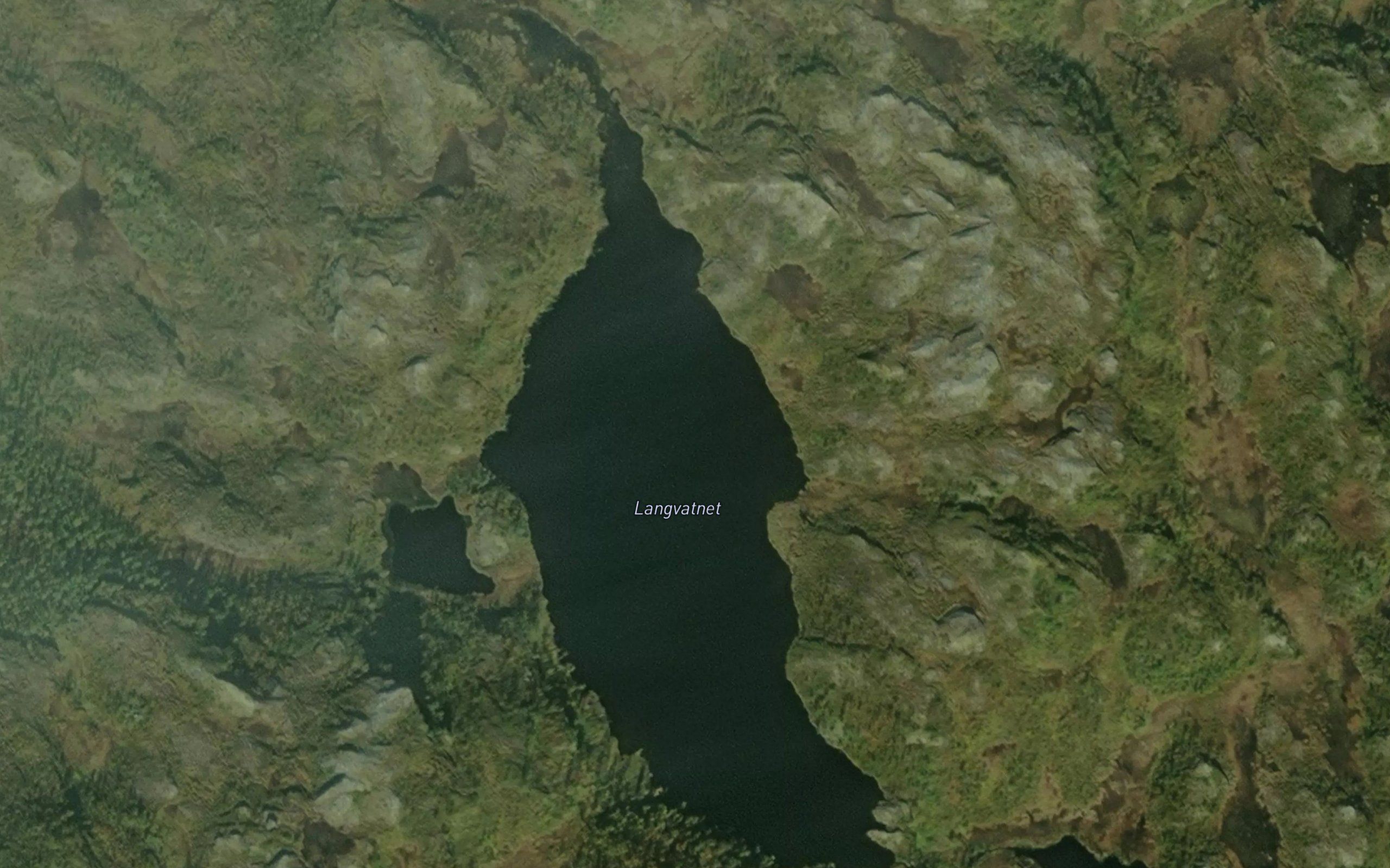 Langevatnet