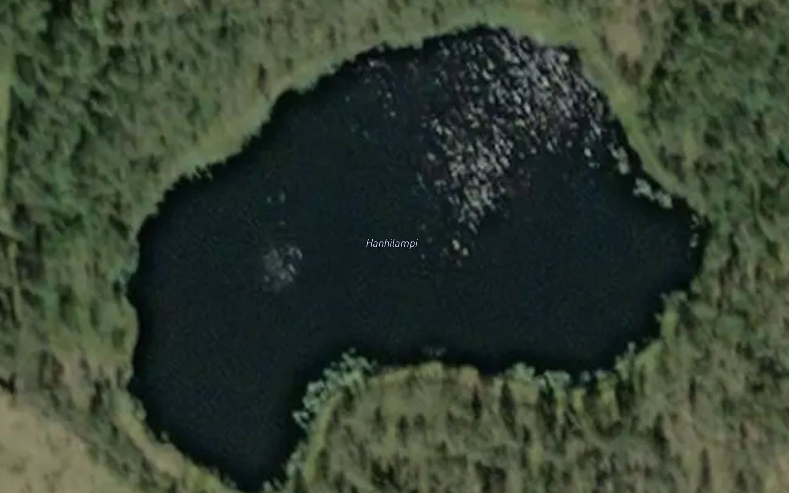 Hanhilampi