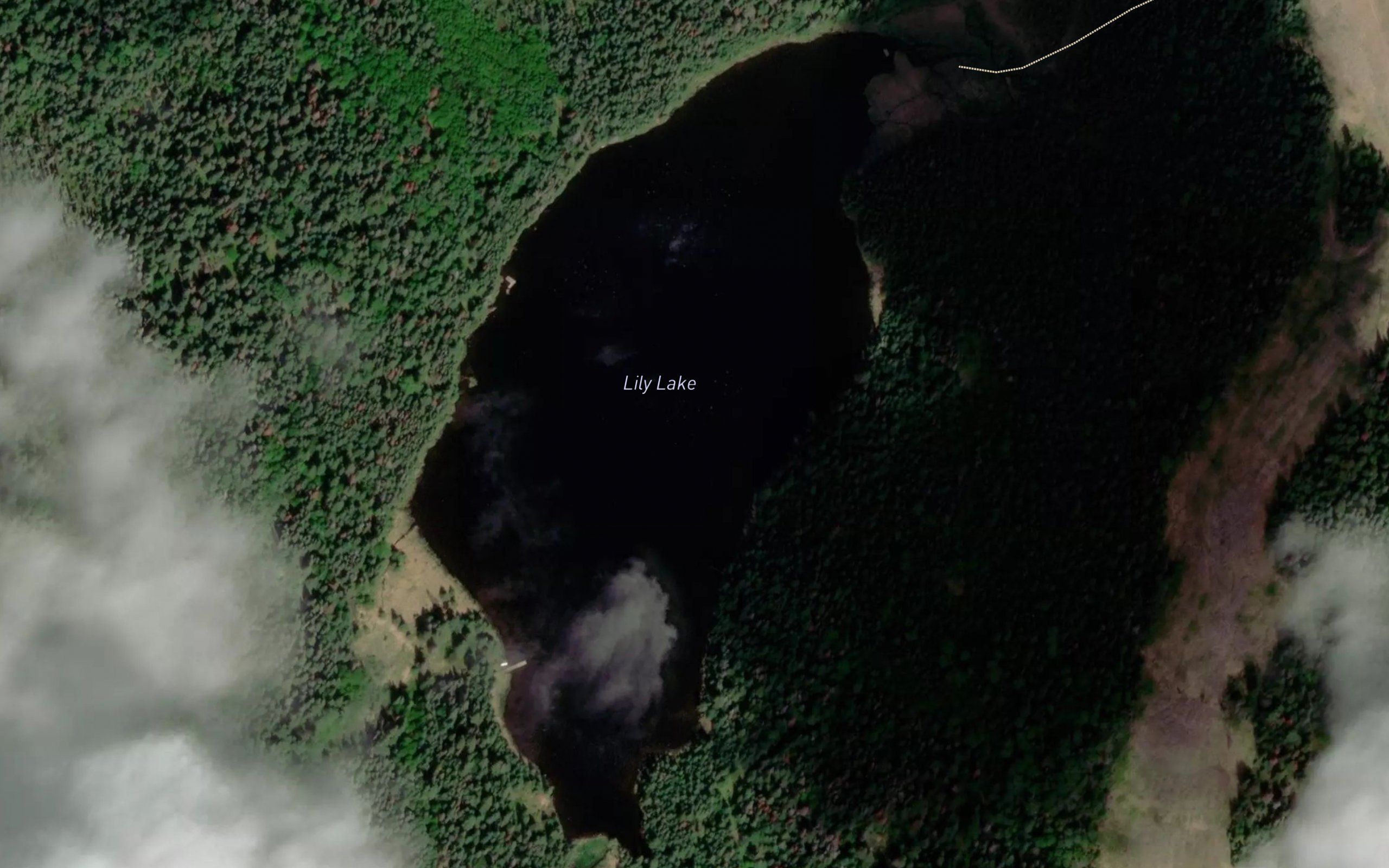 Lily Lake