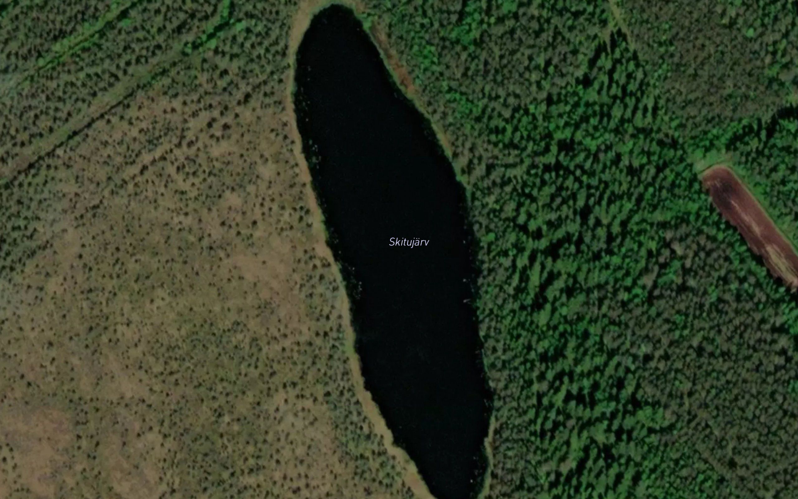 Skitujarv